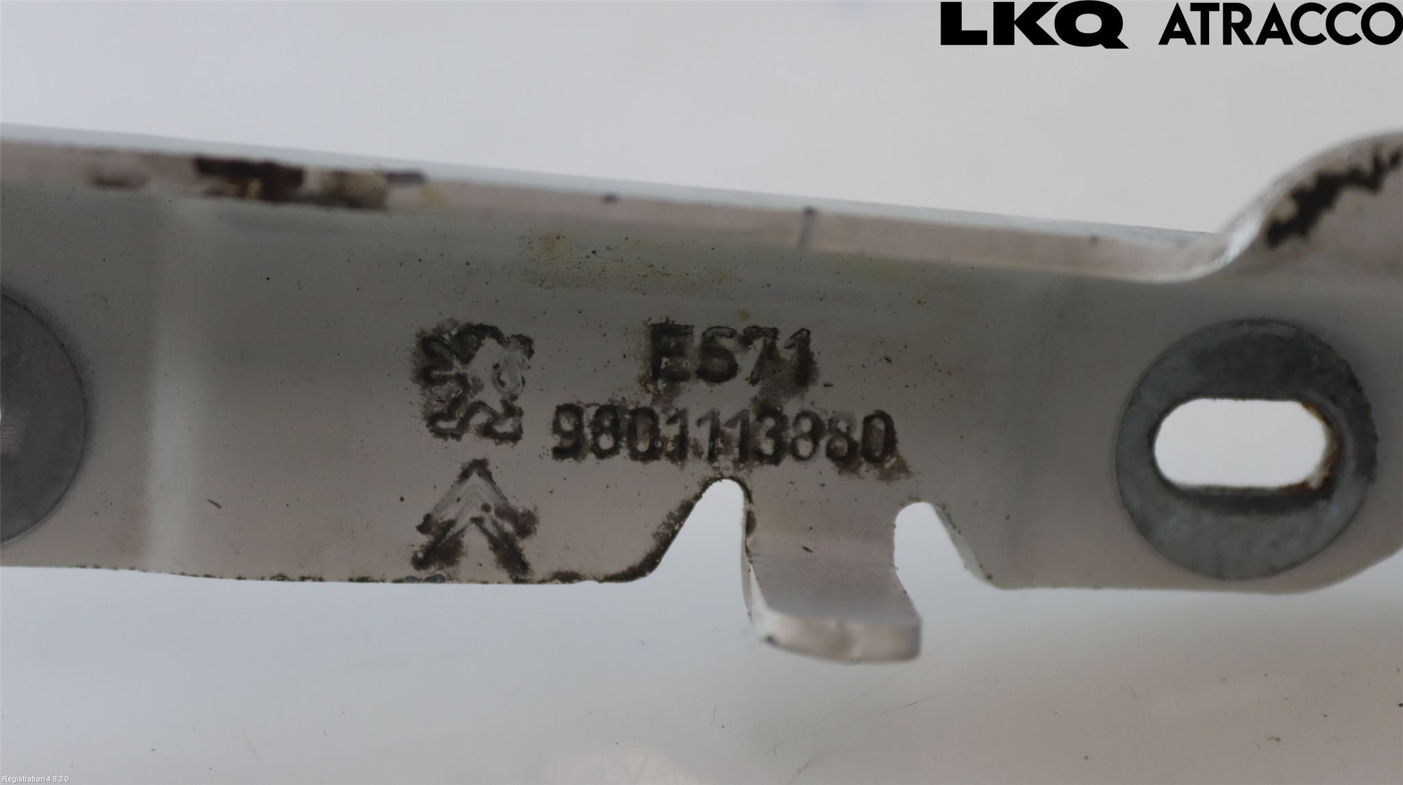 Citroen C4 CACTUS 14-20 Panser Hengsel - Hengsler