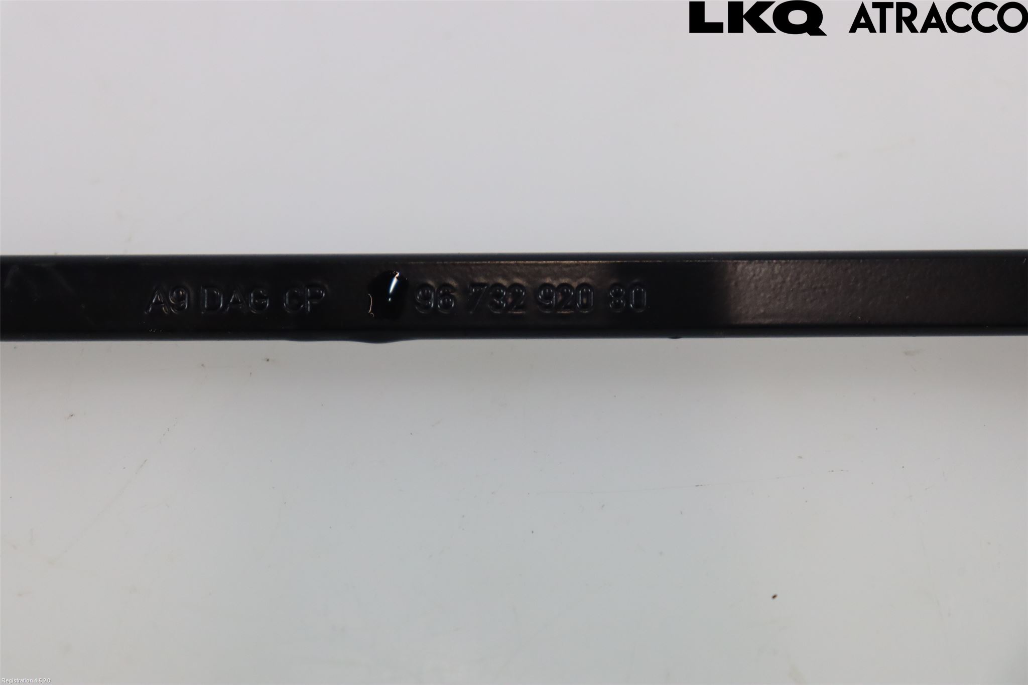 Citroen COTROEN C3 17-24 Viskerarm-Armer Frontrute