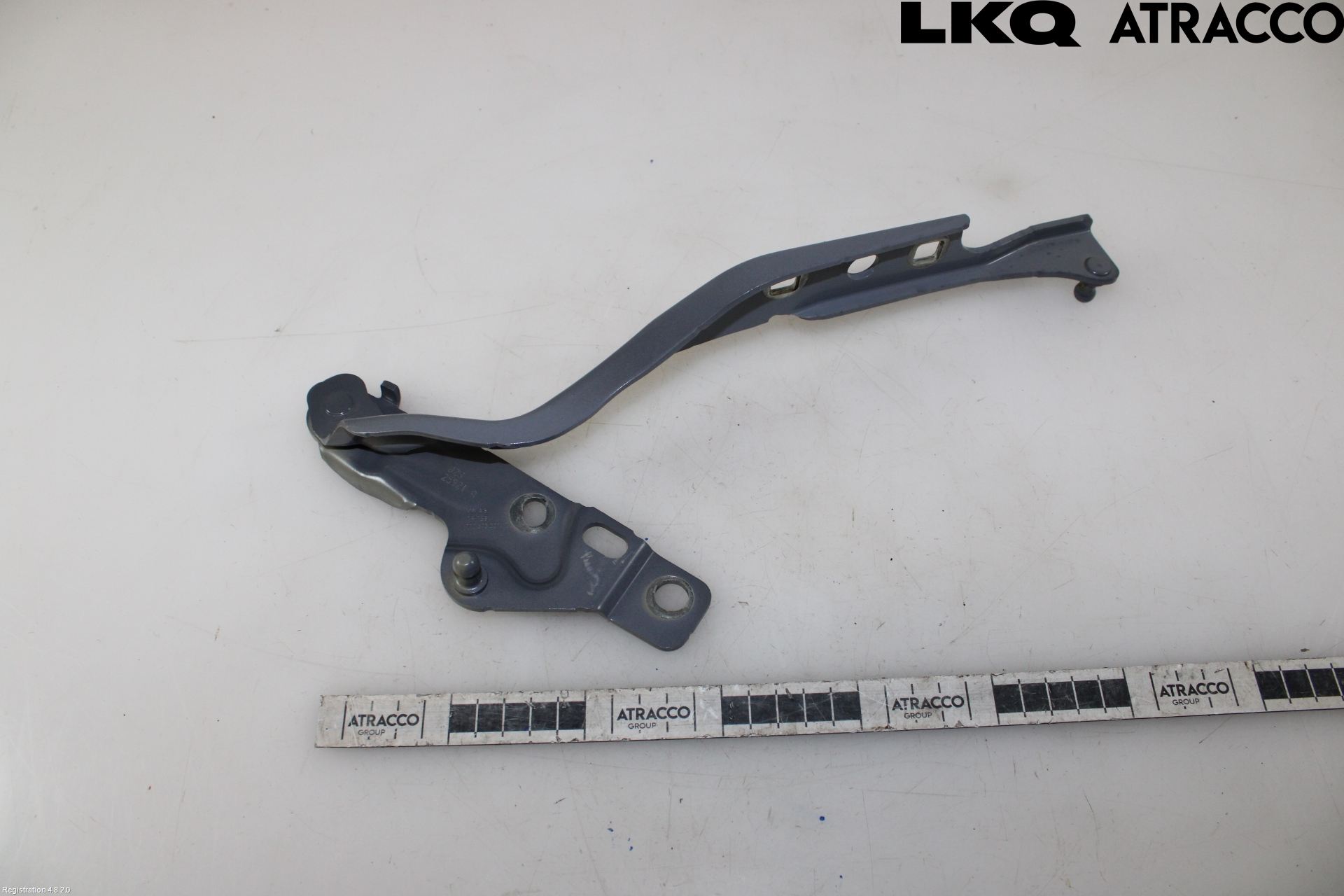 Volkswagen VW TRANSP/CARAVELLE (T7) 22-24 Panser Hengsel - Hengsler