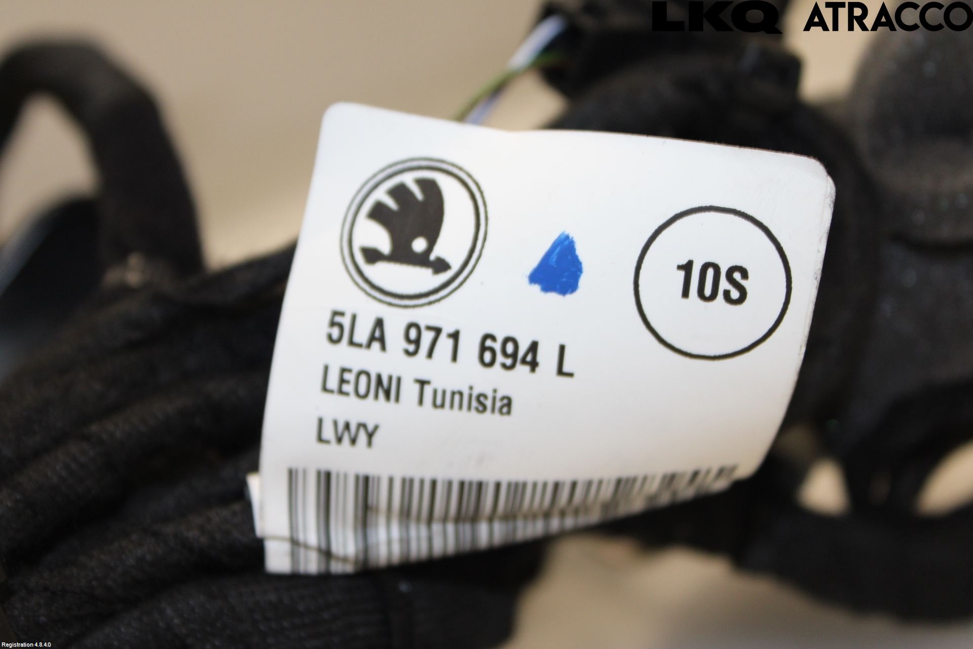 Skoda ENYAQ iV 21- Ledningsnett