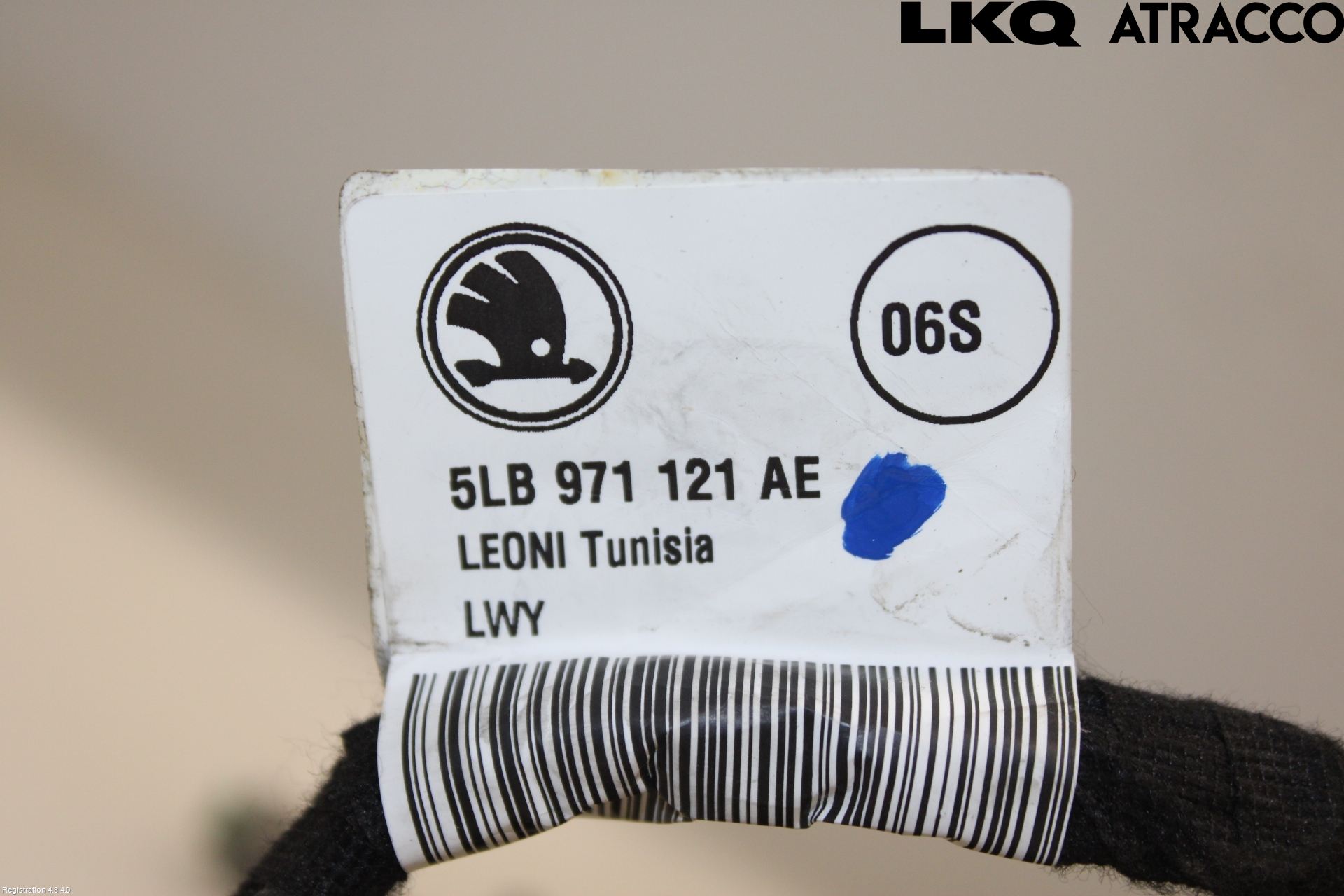 Skoda ENYAQ iV 21- Ledningsnett
