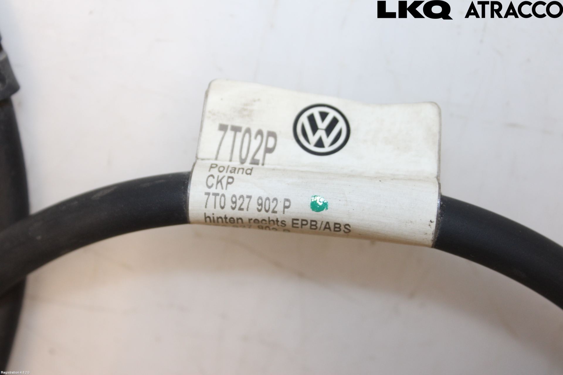 Volkswagen VW TRANSP/CARAVELLE (T7) 22-24 Ledningsnett