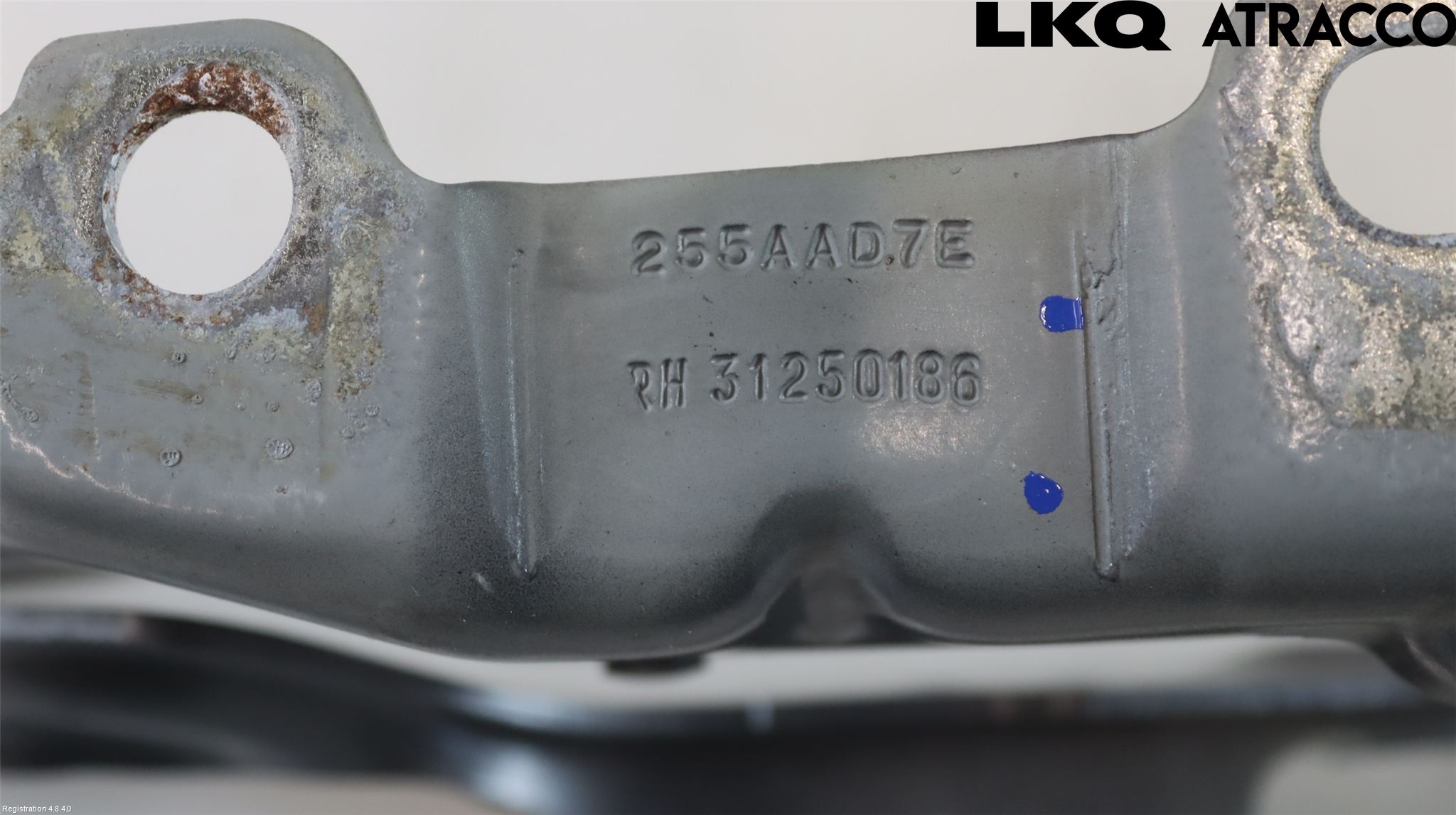 Volvo V70 08-13 Panser Hengsel - Hengsler