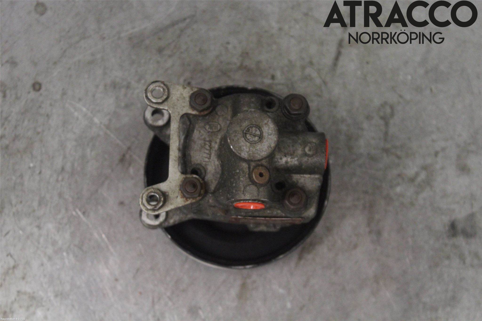 BMW 3 E36      91-00 Servo Pumpe