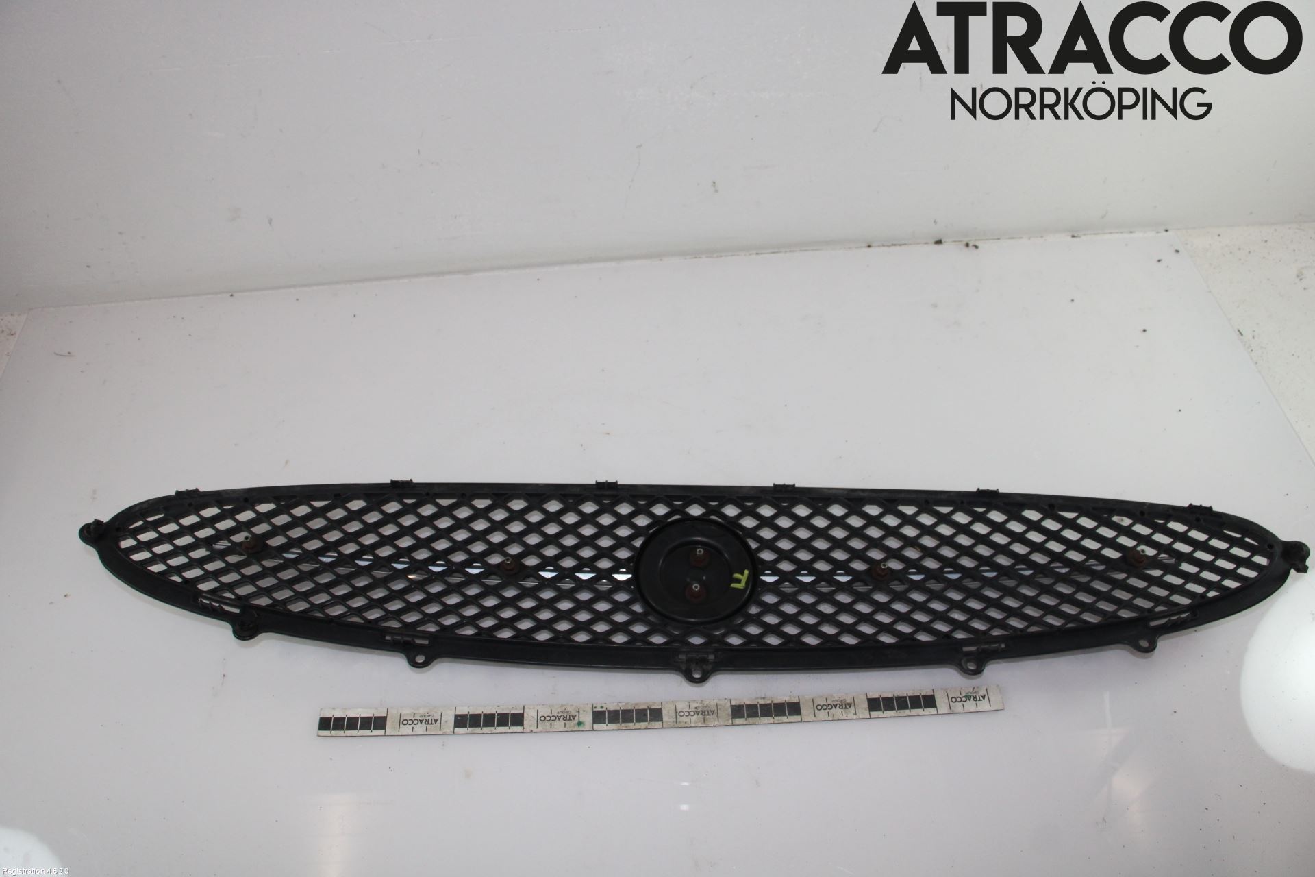 Jaguar XK/XKR 06-14 Grill Komplett