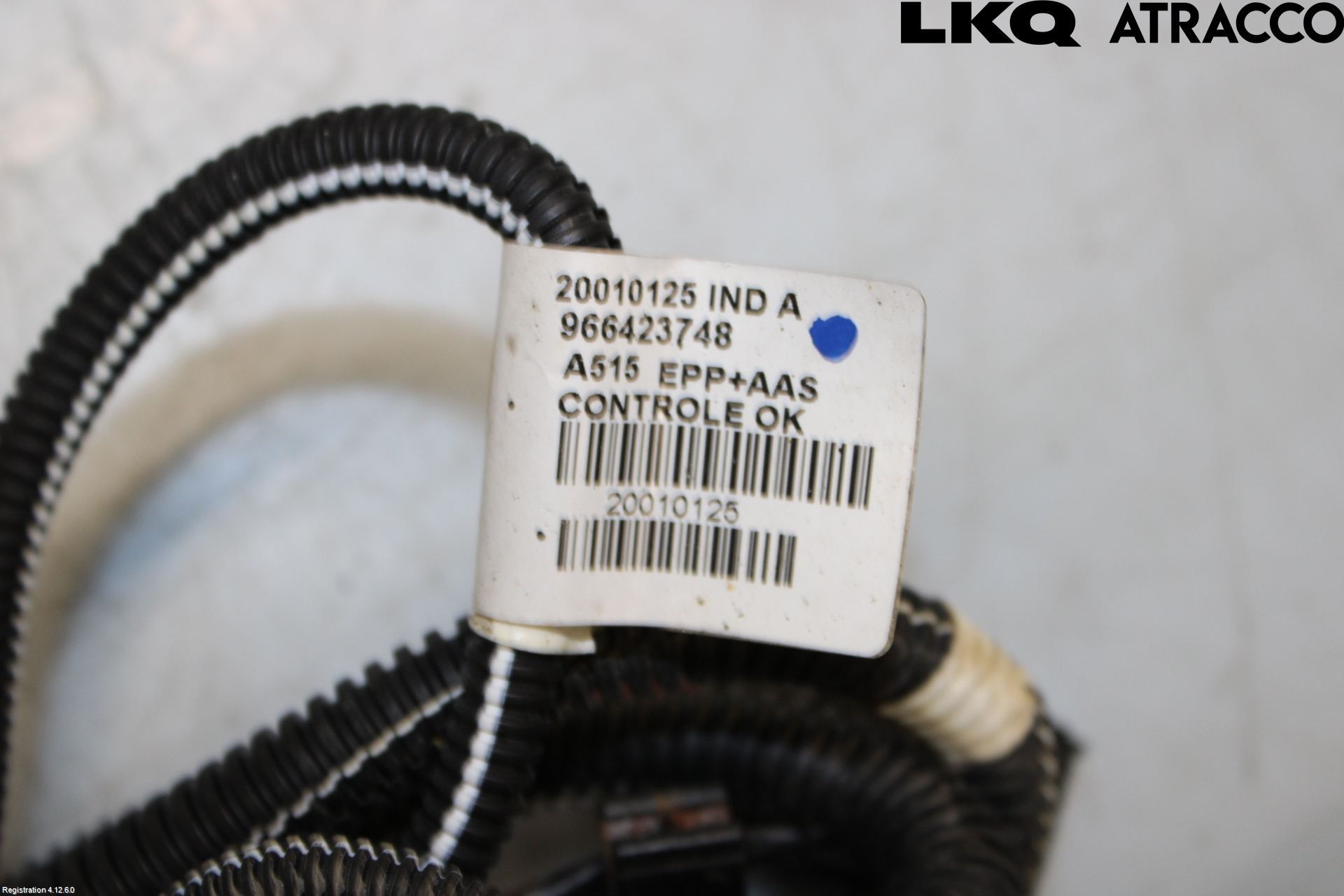 Citroen DS3 Sensor Ryggesensor