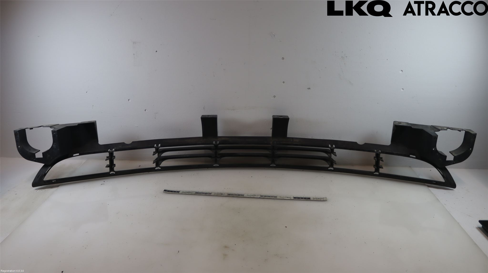 BMW 3 E46      98-05 Grill-Gitter