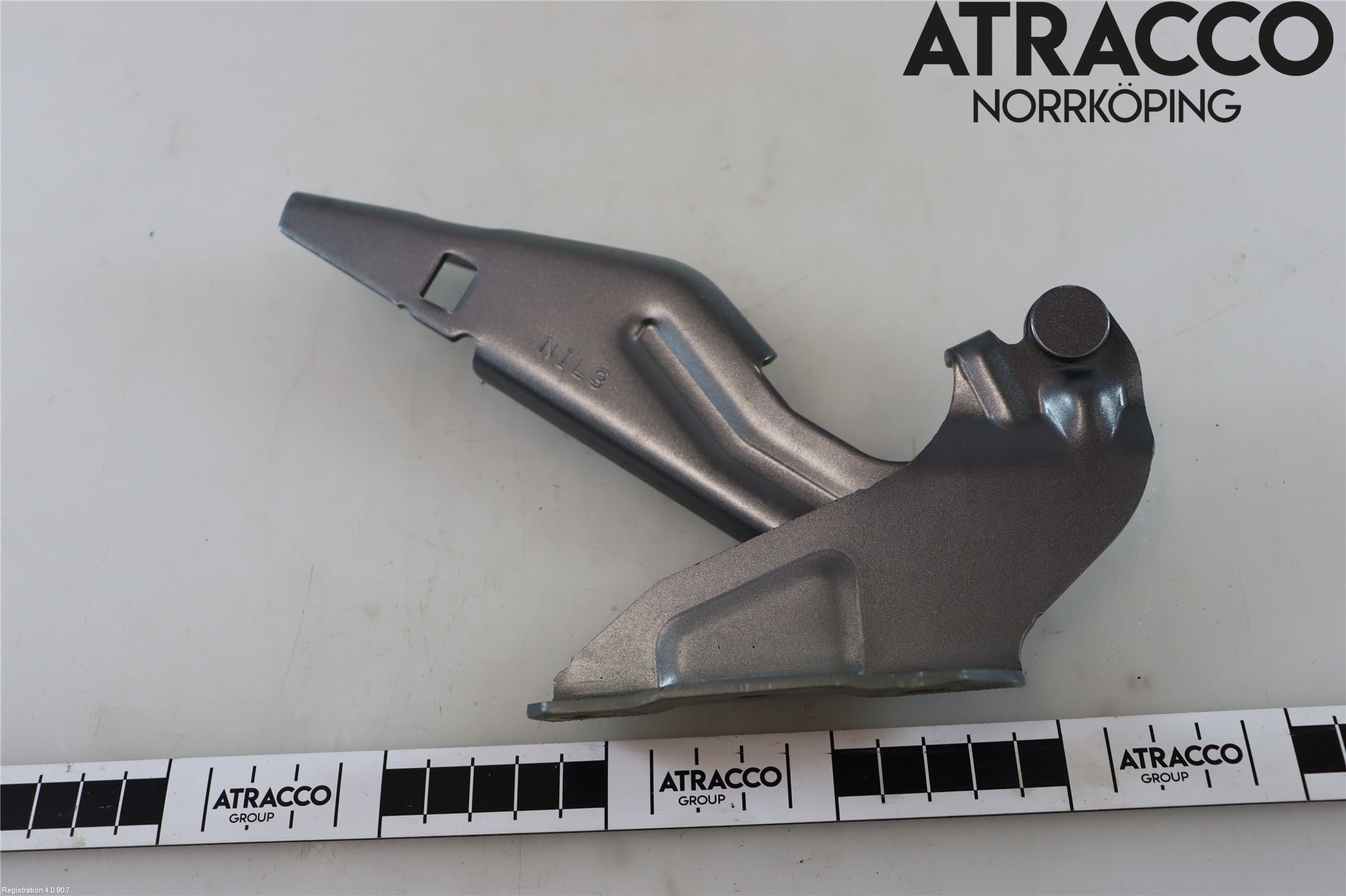 Citroen C4 AIRCROSS Panser Hengsel - Hengsler