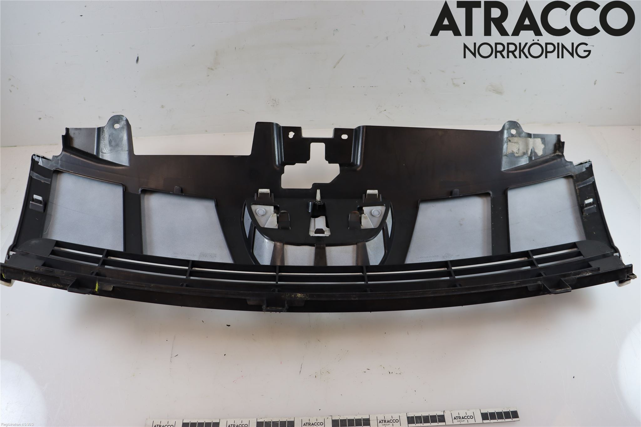 Peugeot EXPERT 07-14 Grill Komplett