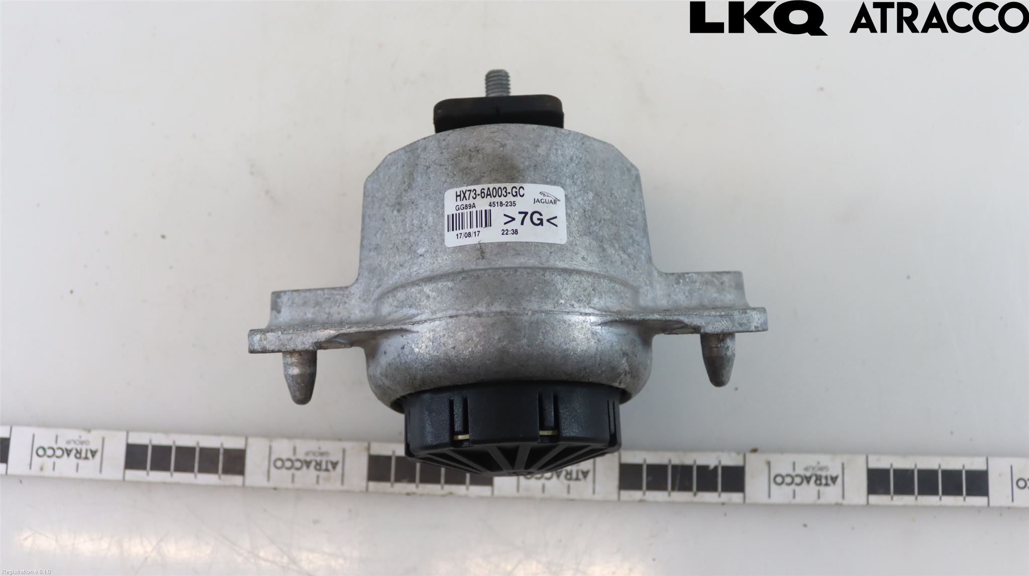 Jaguar XF (X260) 16-24 Motor Feste Gummi