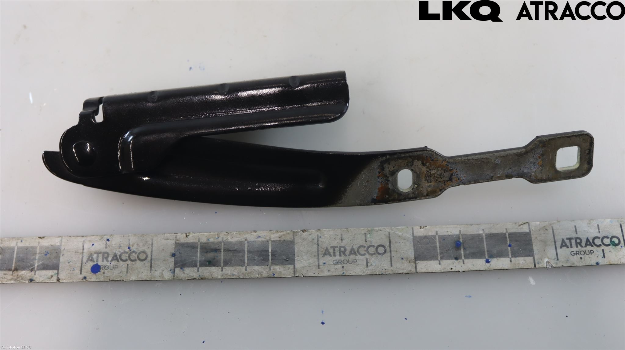 Dacia LODGY 12-18 Panser Hengsel - Hengsler