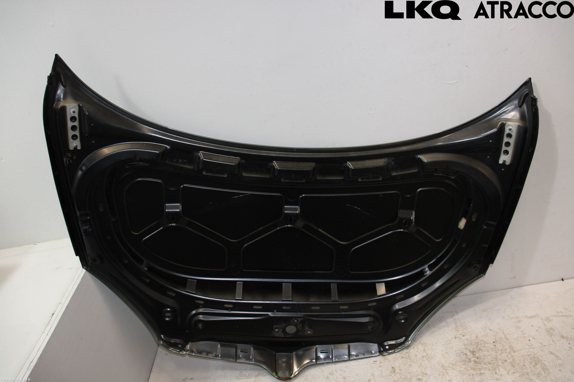 Skoda ROOMSTER Panser