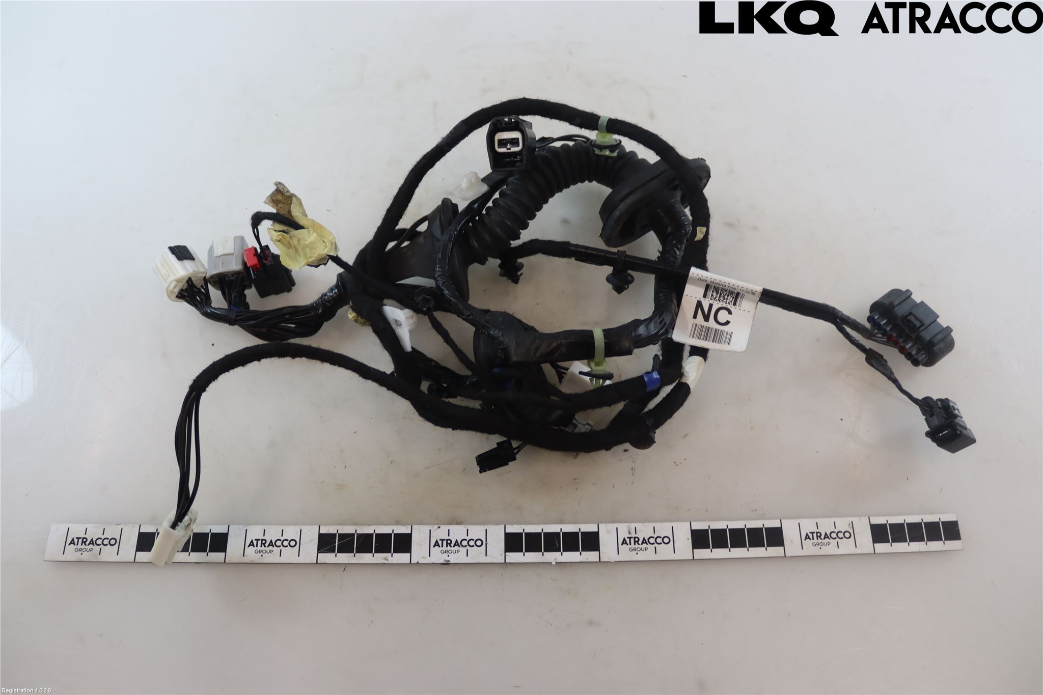Ford RANGER EU 12-23 Ledningsnett