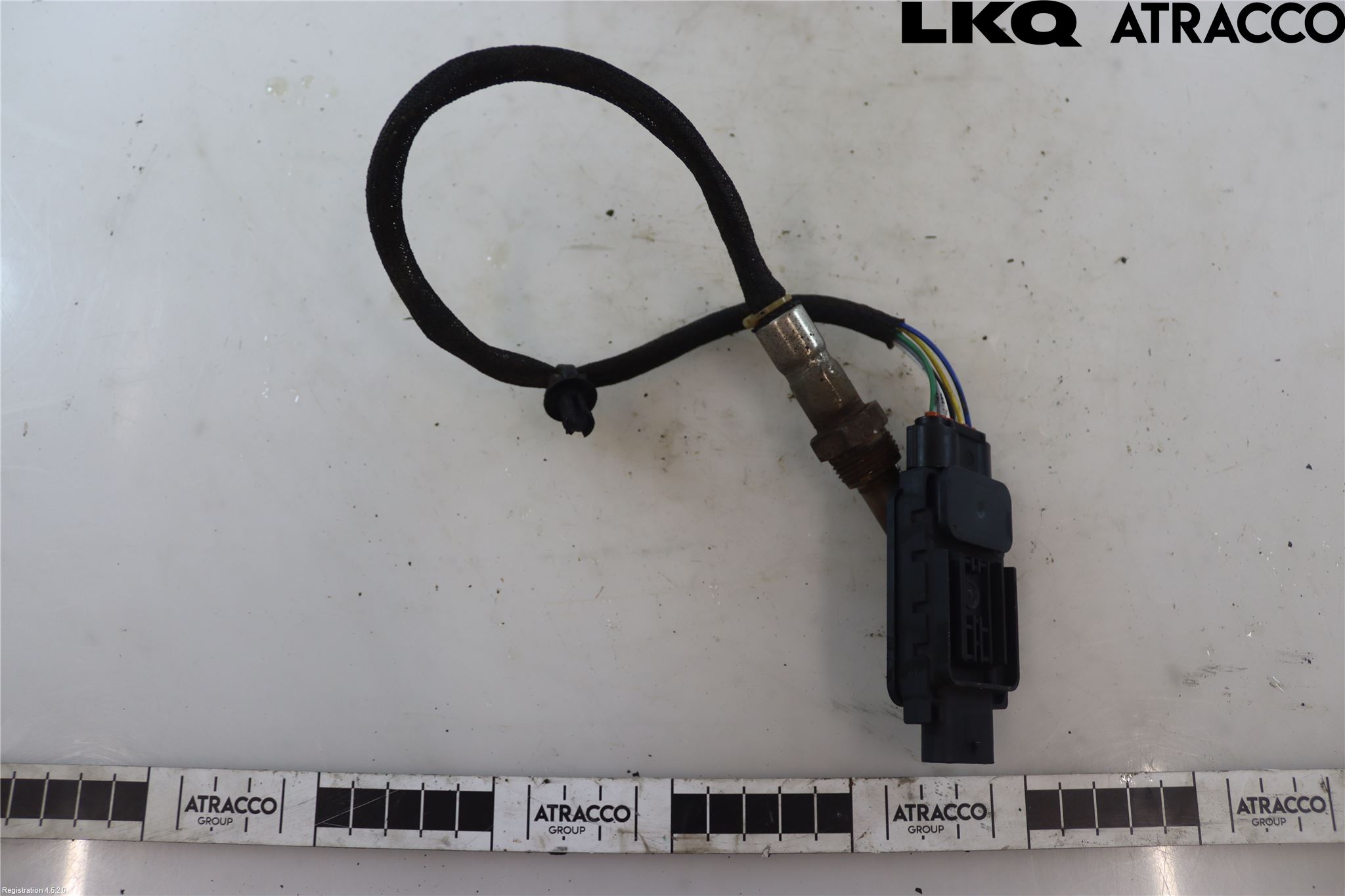 Ford RANGER EU 12-23 Inns Lambdasonde