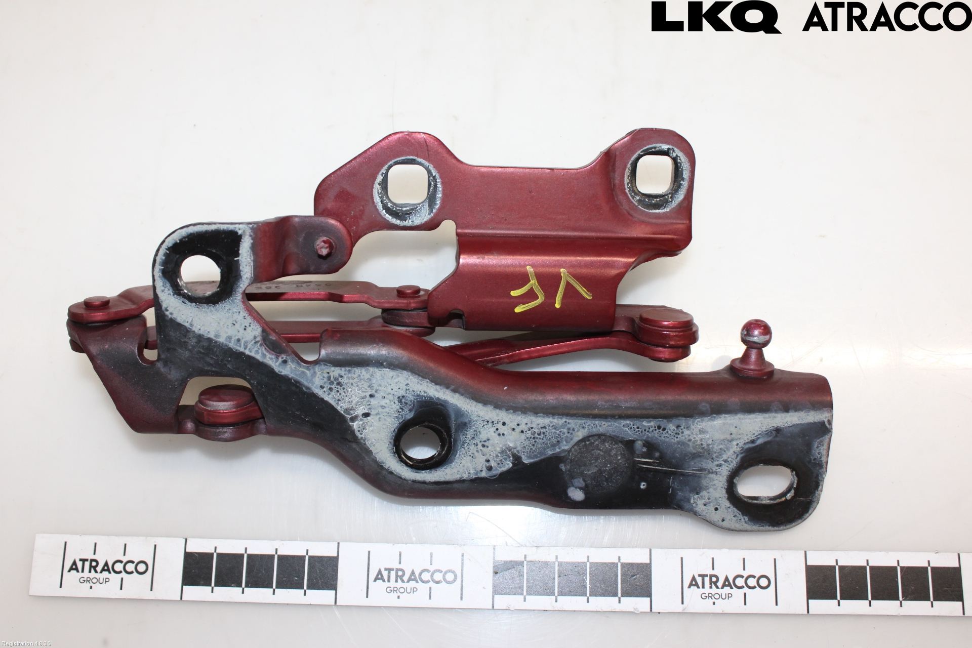 Jaguar XJ X350        03-09 Panser Hengsel - Hengsler