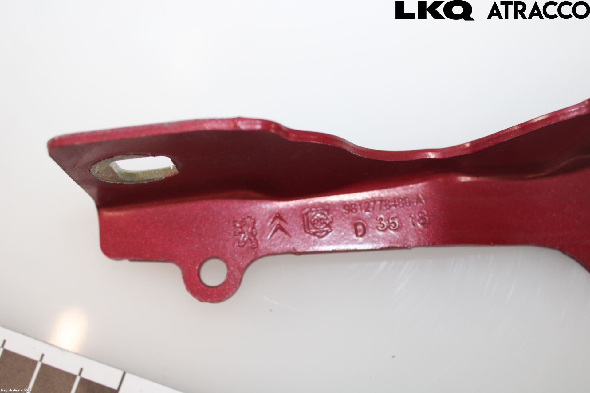 Citroen COTROEN C3 17-24 Panser Hengsel - Hengsler