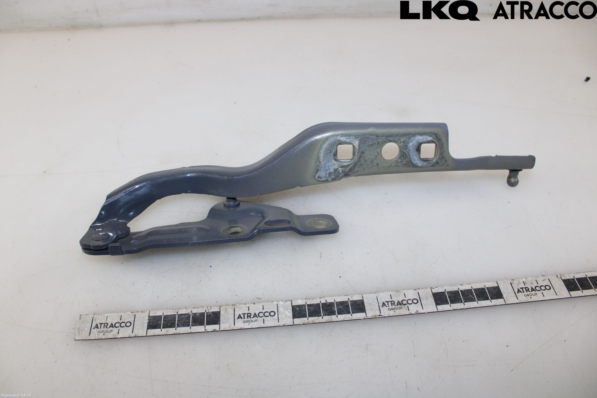 Volkswagen VW TRANSP/CARAVELLE (T7) 22-24 Panser Hengsel - Hengsler