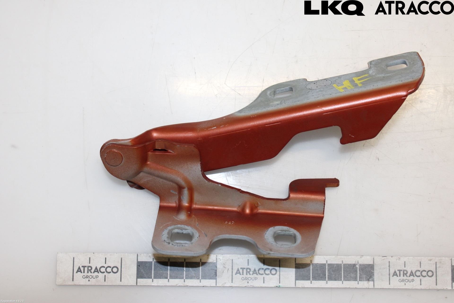 Renault CLIO II 99-01 Panser Hengsel - Hengsler