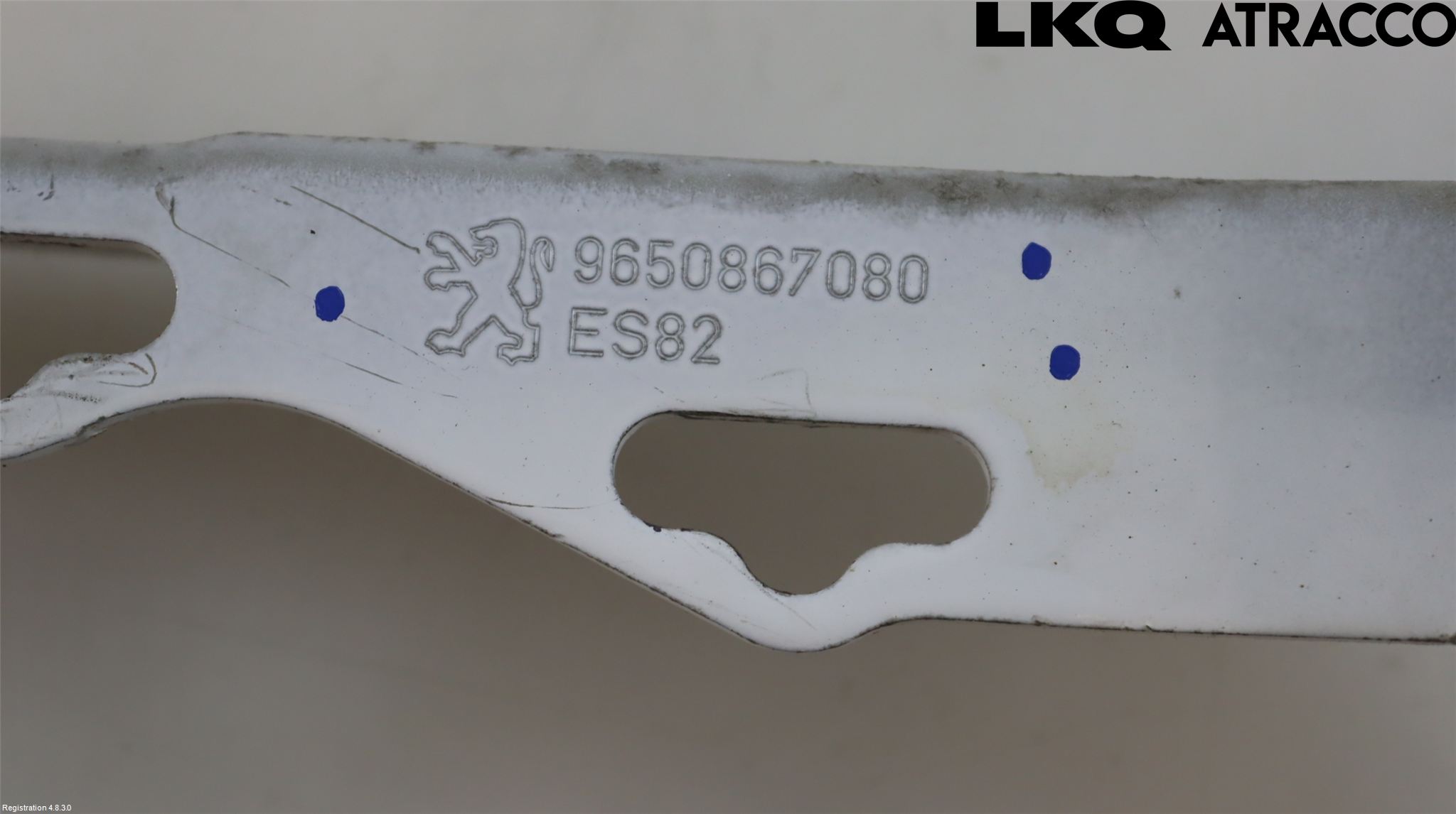 Peugeot 207 Panser Hengsel - Hengsler