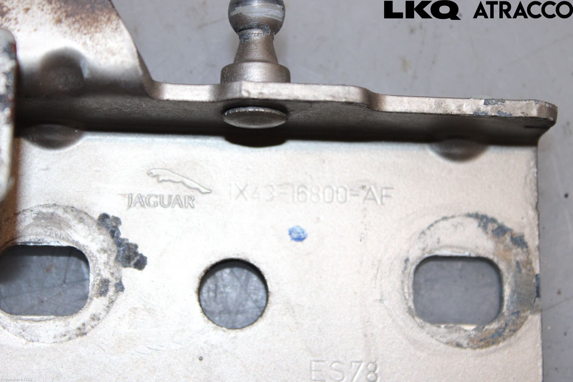 Jaguar X-TYPE Panser Hengsel - Hengsler