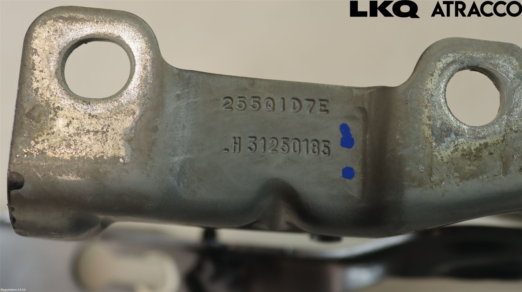 Volvo V70 08-13 Panser Hengsel - Hengsler