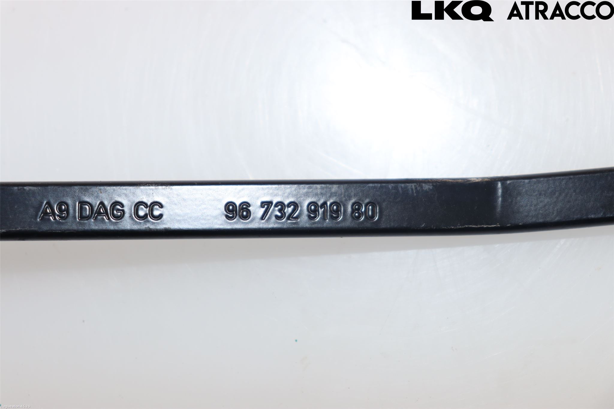 Citroen COTROEN C3 17-24 Viskerarm-Armer Frontrute