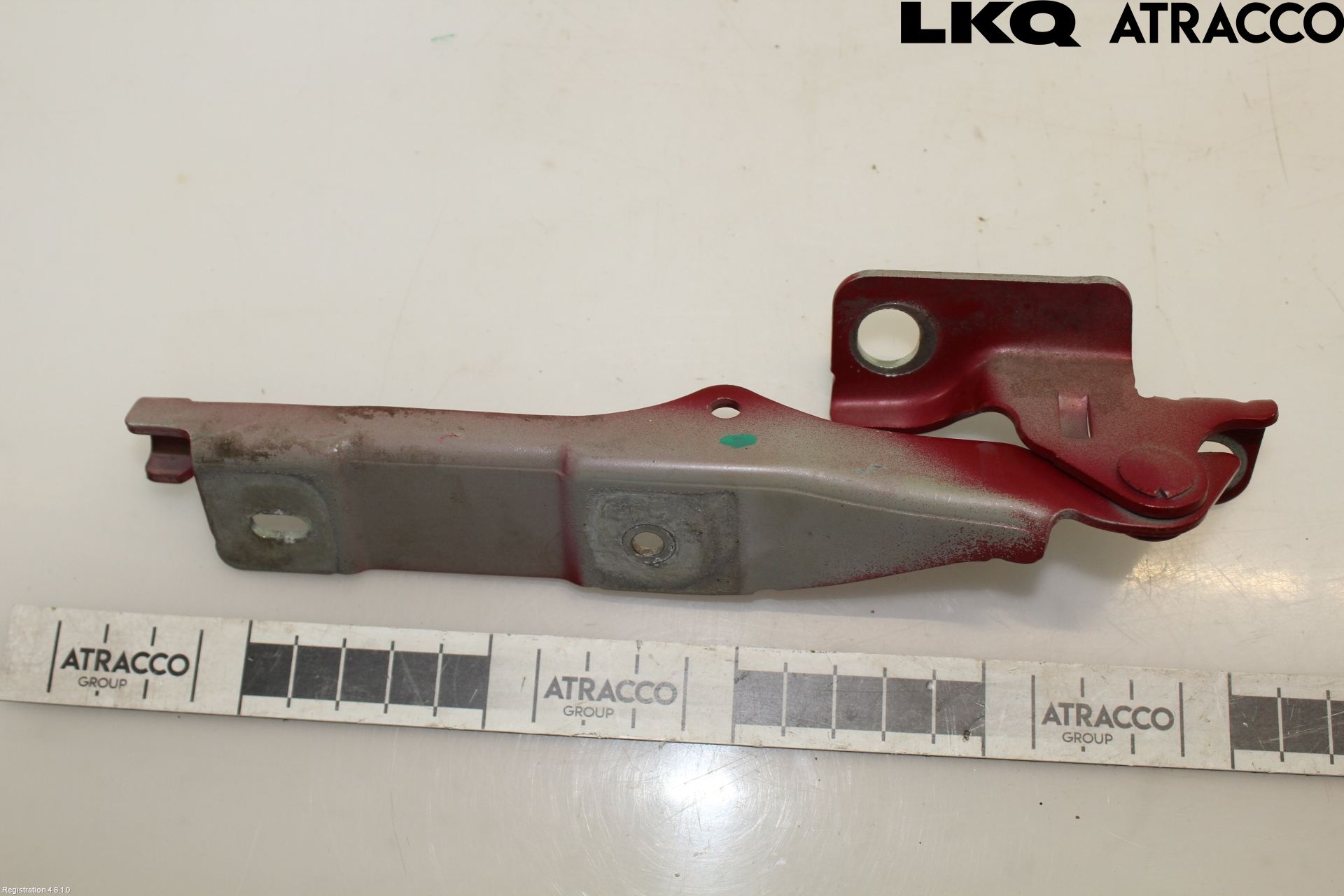 Citroen C3 10-17 Panser Hengsel - Hengsler
