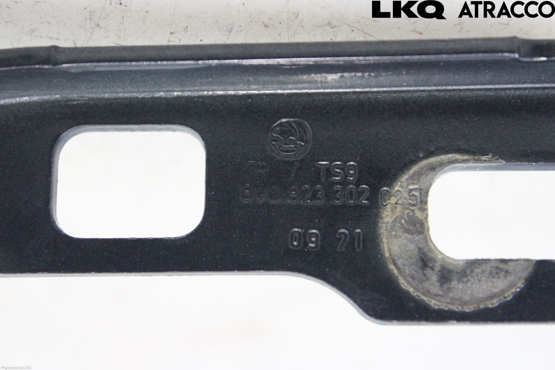 Skoda FABIA 15-21 Panser Hengsel - Hengsler