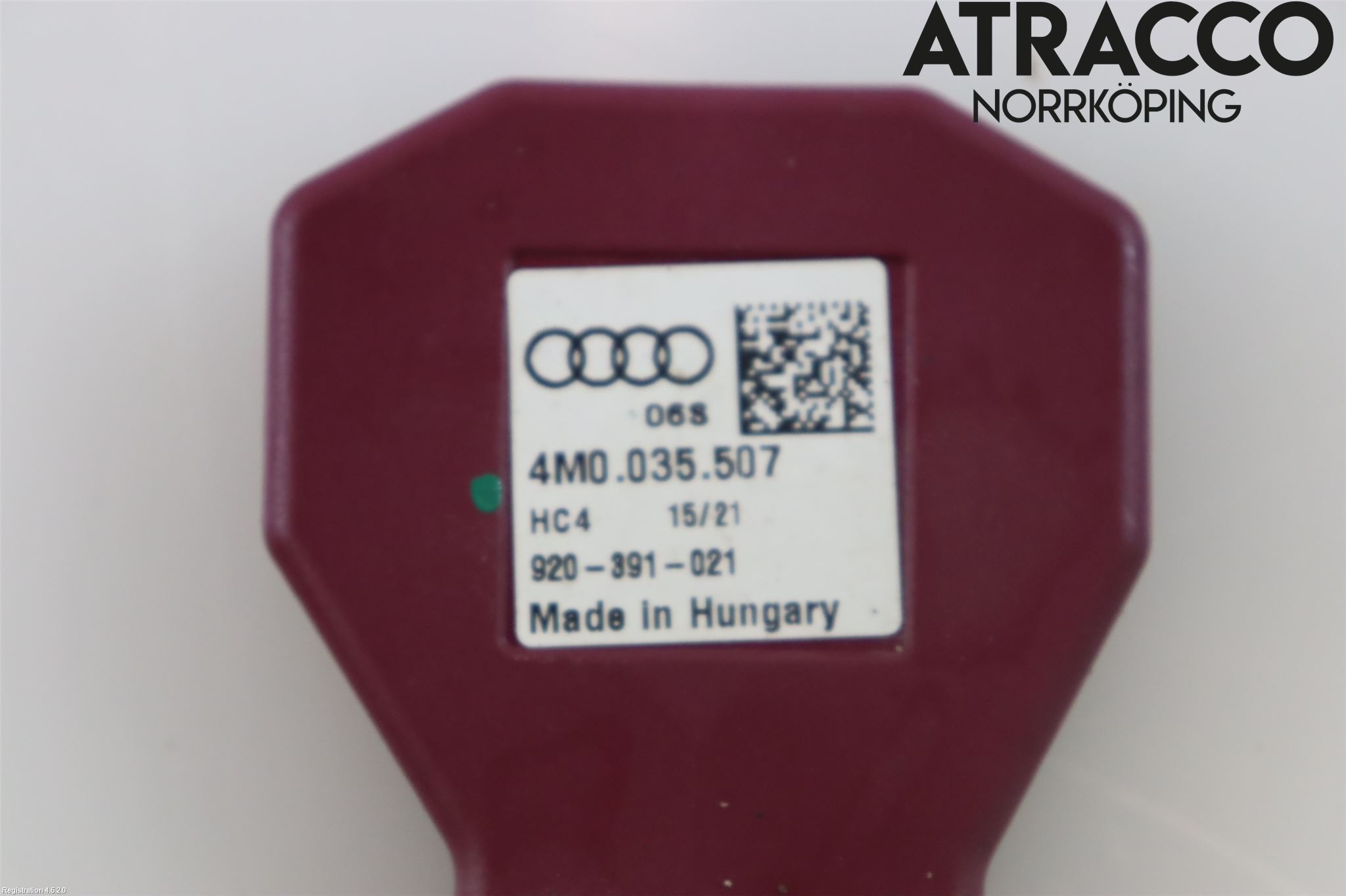 Audi A3/S3 8Y 21- Stereo Antenne Radio-Tv