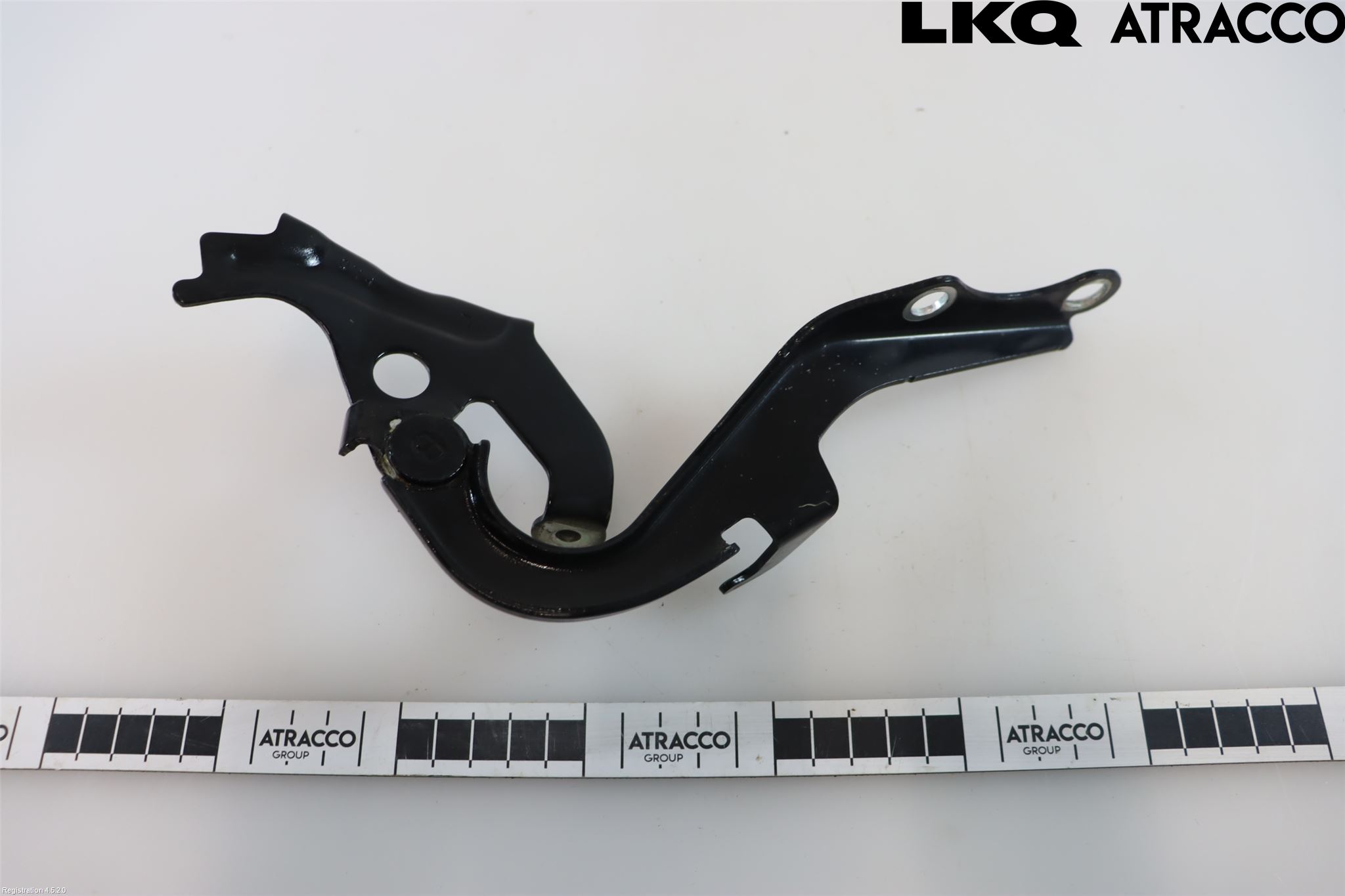 Toyota ÖVRIGT/DIREKTIMP. Panser Hengsel - Hengsler