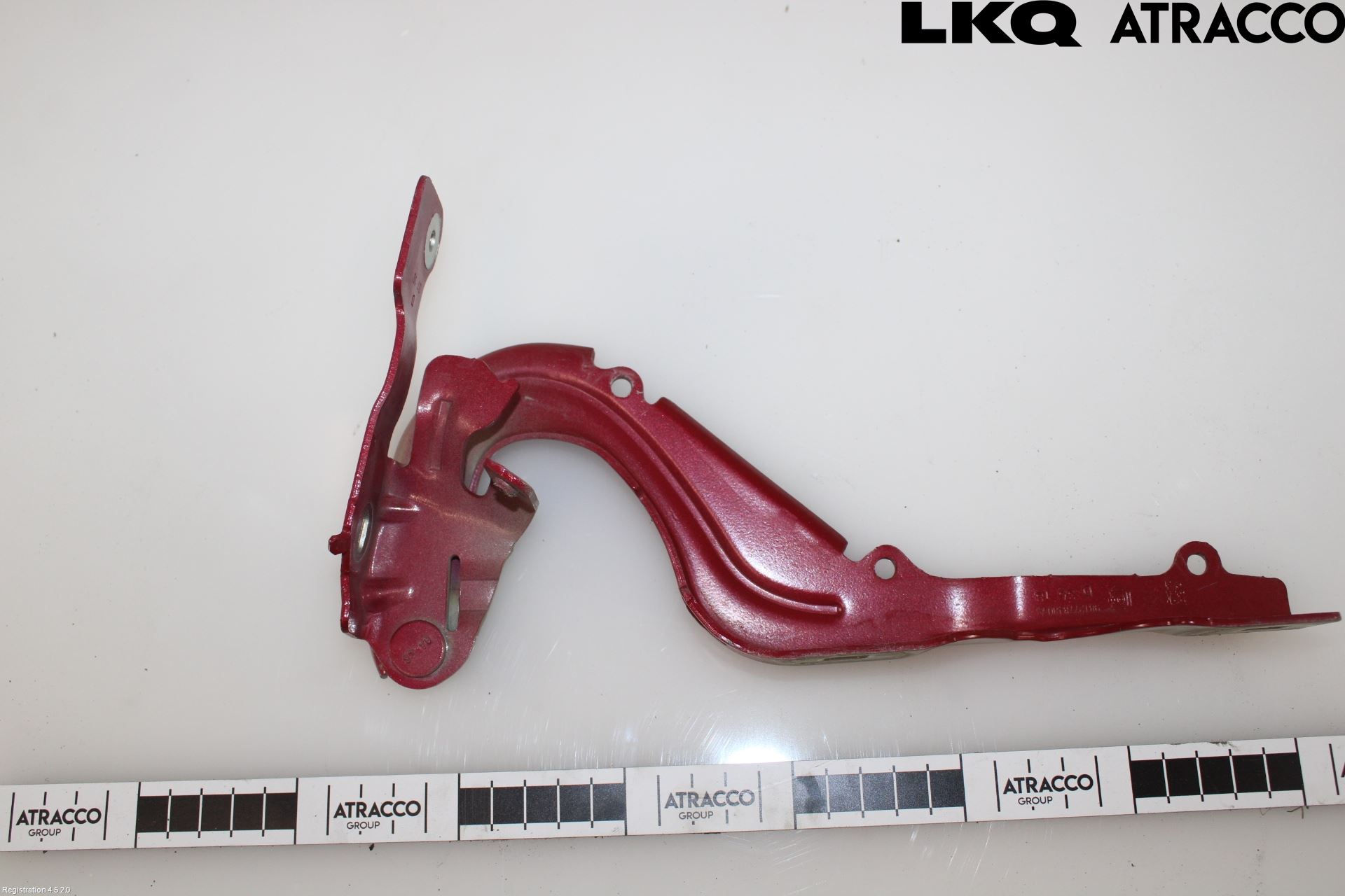 Citroen COTROEN C3 17-24 Panser Hengsel - Hengsler