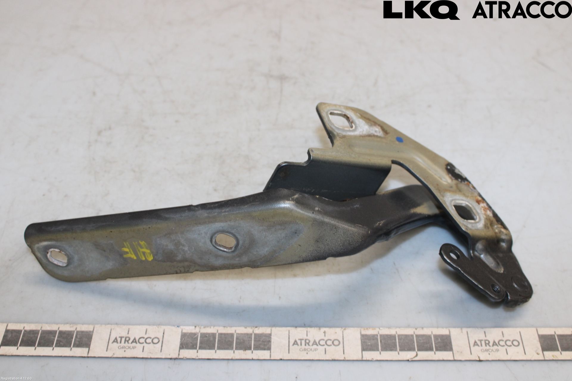 Citroen C4 GRAND PICASSO 07-13 Panser Hengsel - Hengsler