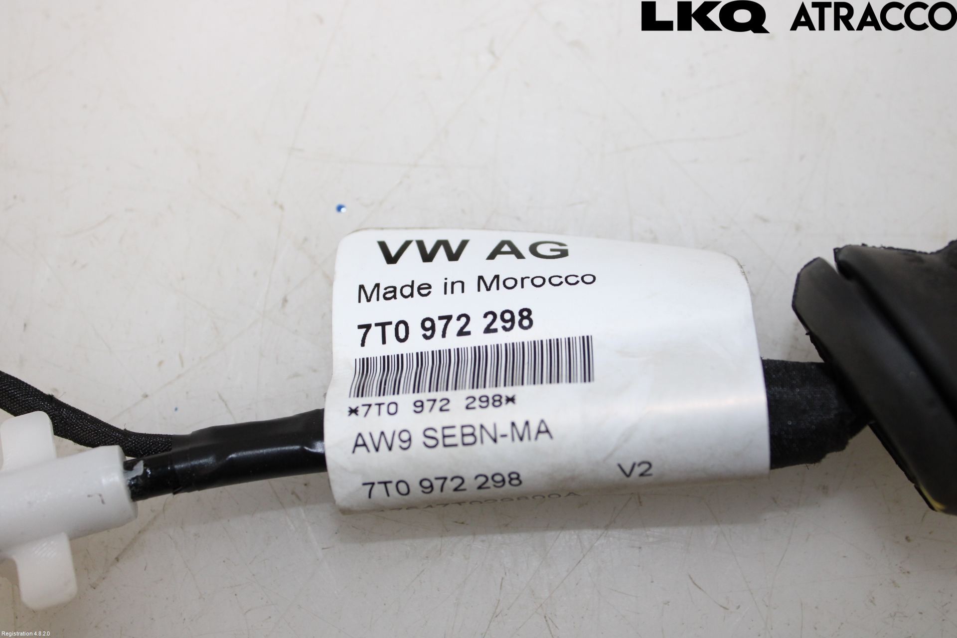Volkswagen VW TRANSP/CARAVELLE (T7) 22-24 Ledningsnett