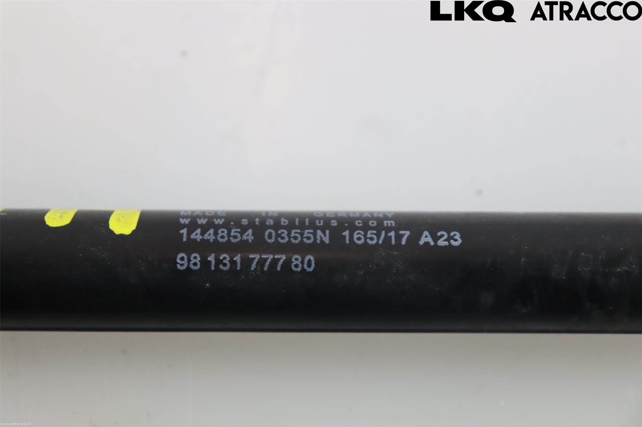 Citroen COTROEN C3 17-24 Bakluke Demper-Gassfjær