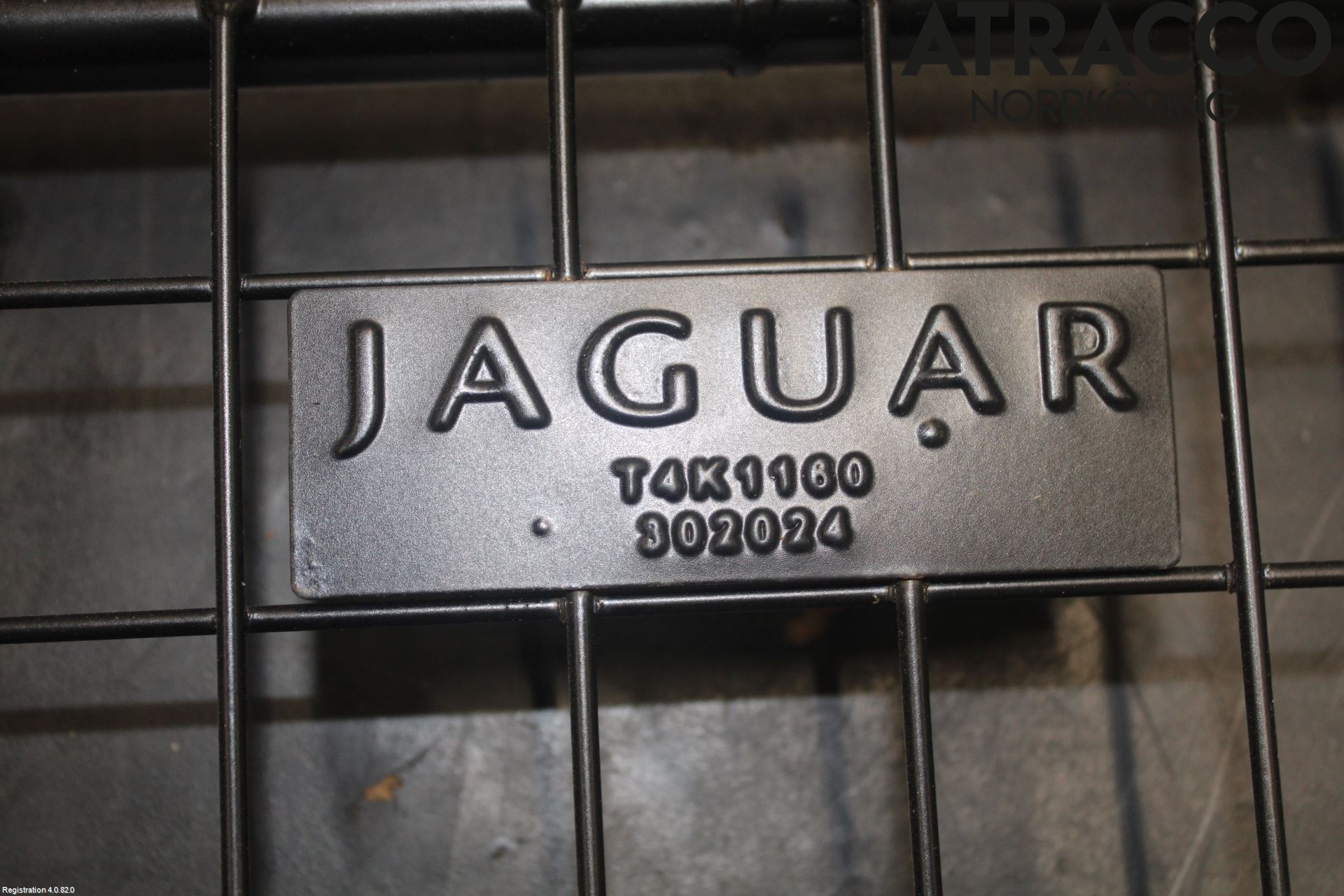 Jaguar I-PACE 18- Grill-Gitter