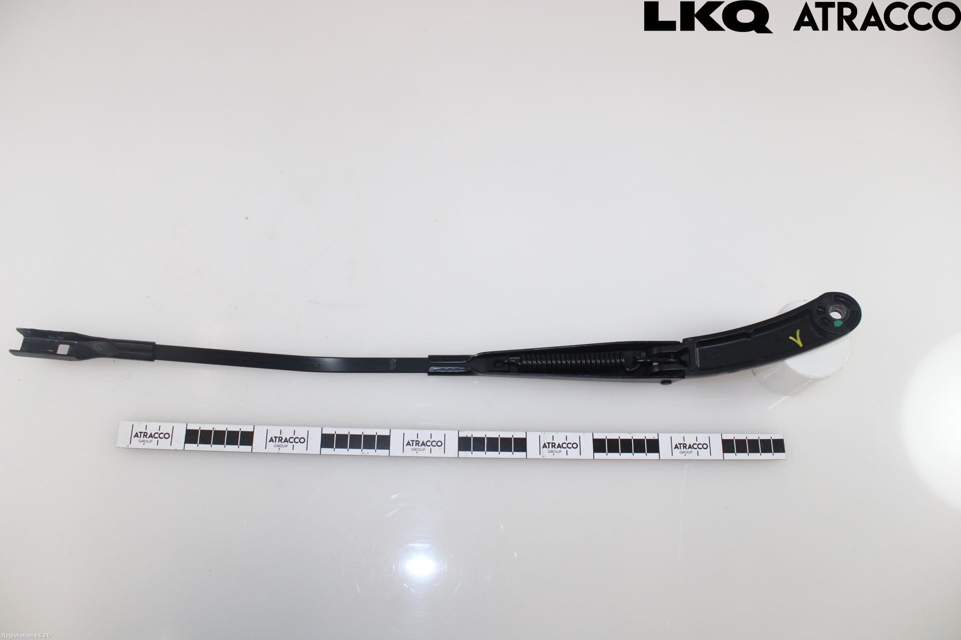 Volkswagen VW TRANSP/CARAVELLE (T7) 22-24 Viskerarm-Armer Frontrute
