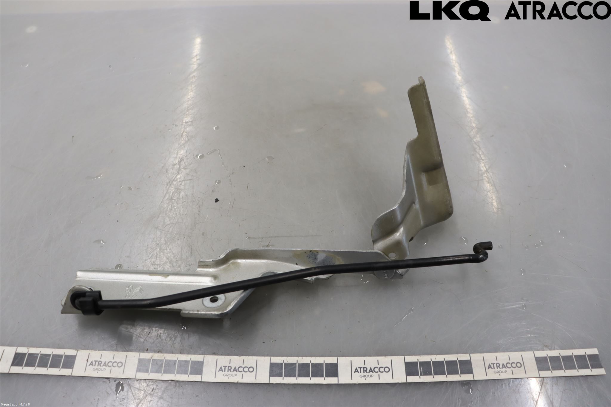 Citroen C4 I   05-10 Panser Hengsel - Hengsler