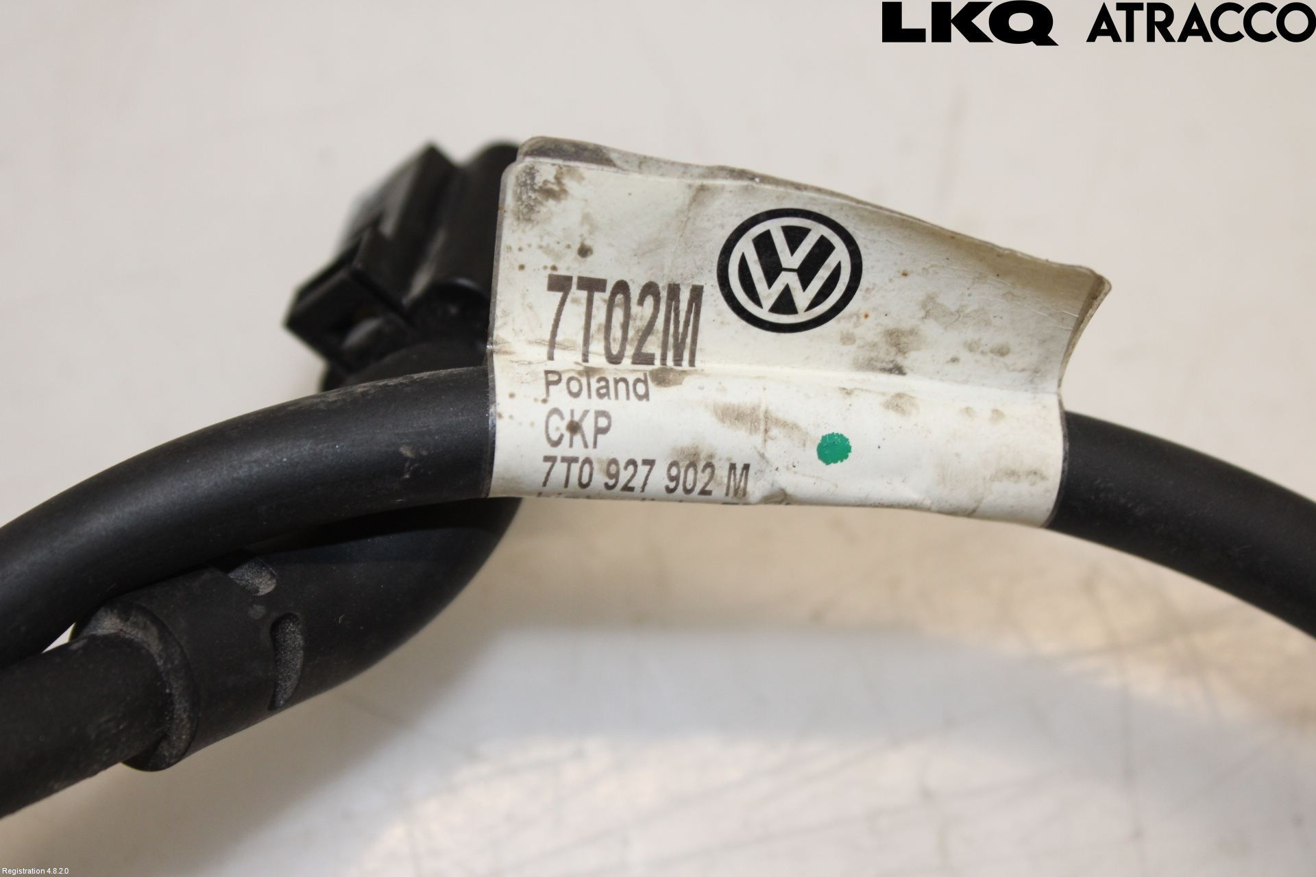Volkswagen VW TRANSP/CARAVELLE (T7) 22-24 Ledningsnett