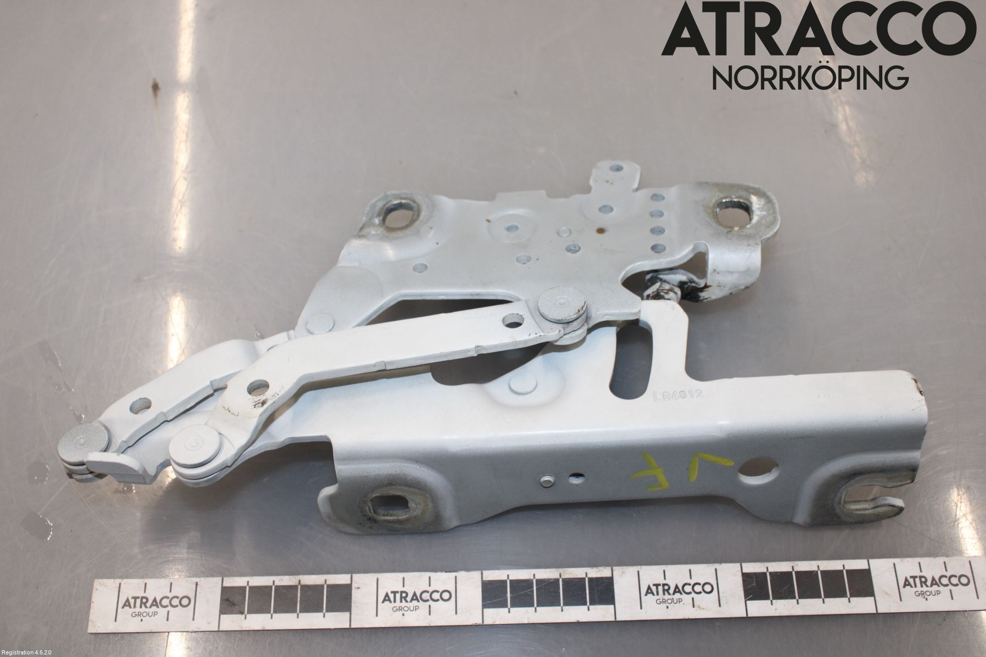 BMW 1 F20/F21 11-19 Panser Hengsel - Hengsler
