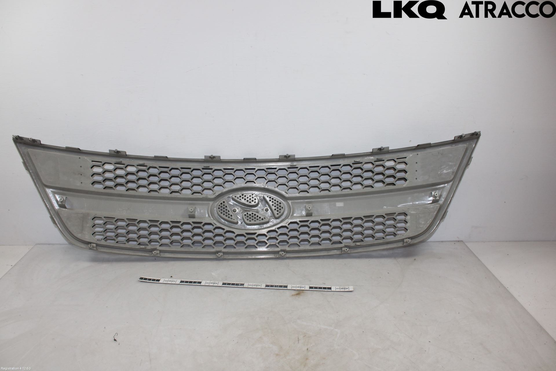 Hyundai H-1/STAREX 08-21 Grill Komplett