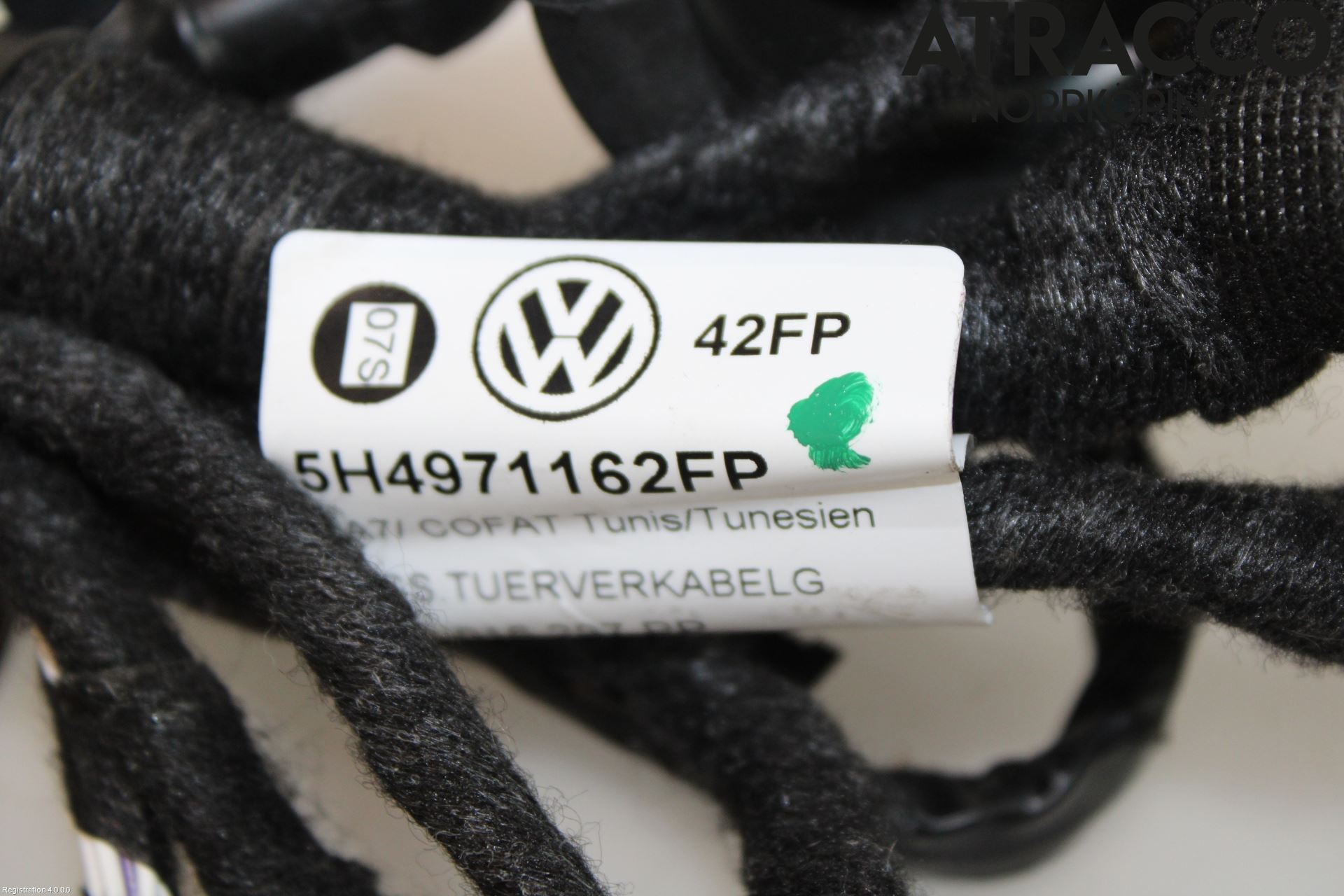 Volkswagen VW GOLF / E-GOLF VIII 20- Ledningsnett