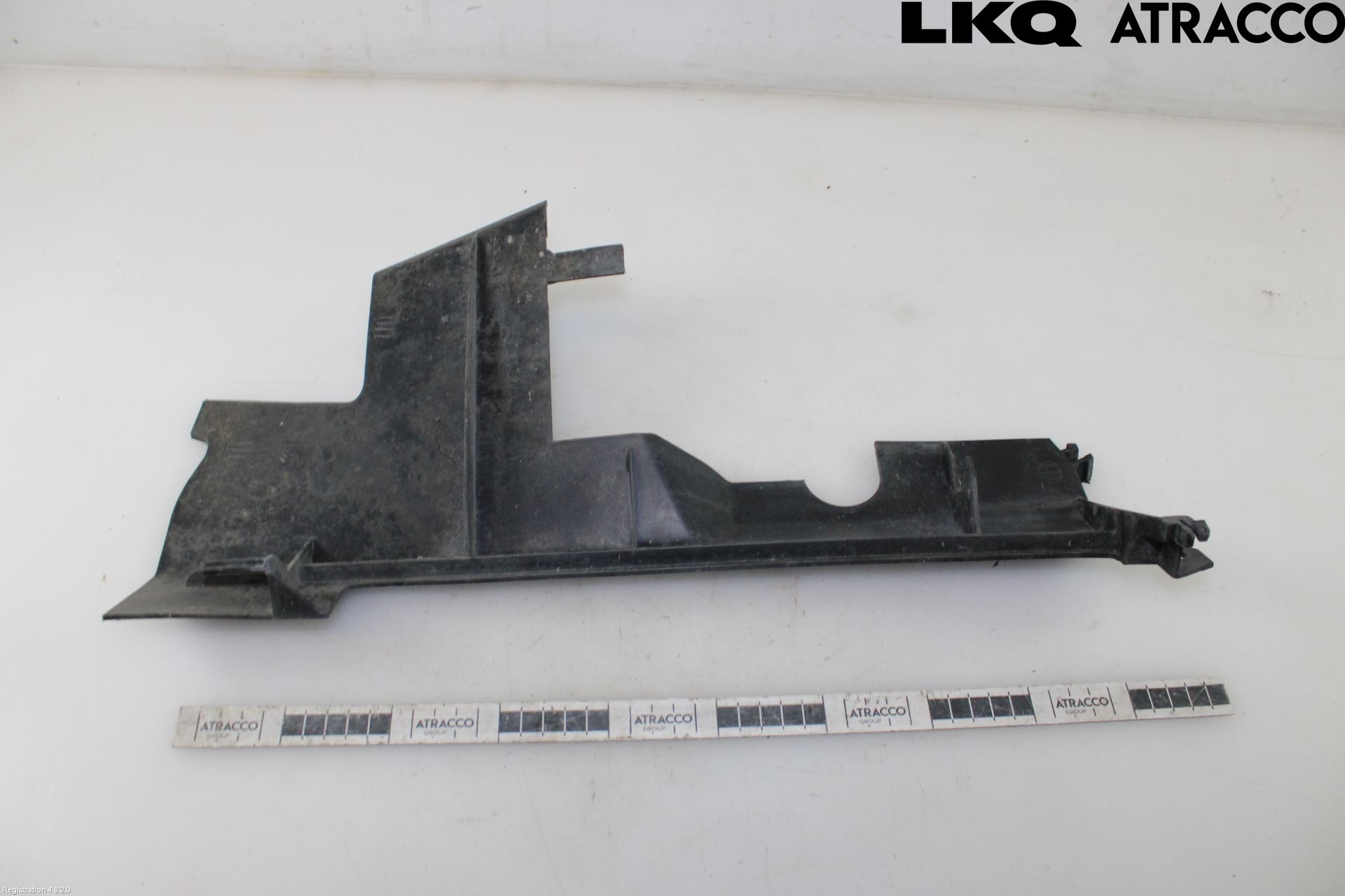 Renault SCÉNIC III / GRAND SCÉNIC 09-16 Luftstyring Front