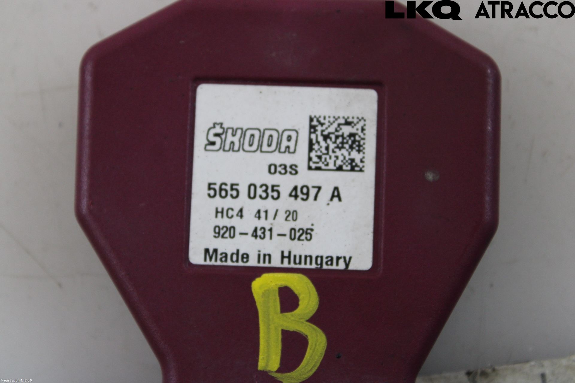 Skoda KODIAQ 17-24 Stereo Antenne Radio-Tv
