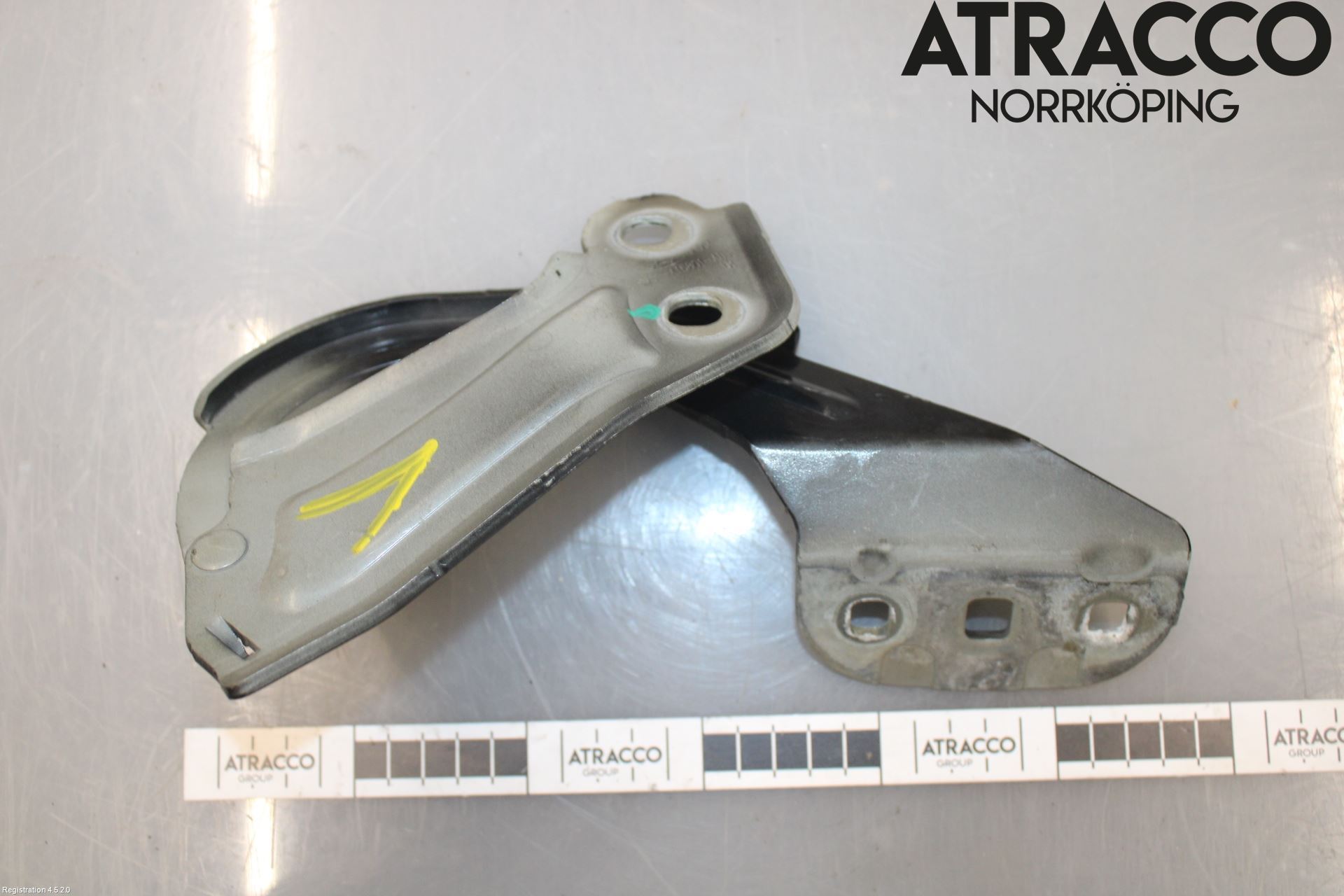 Ford FOCUS 15-18 Panser Hengsel - Hengsler