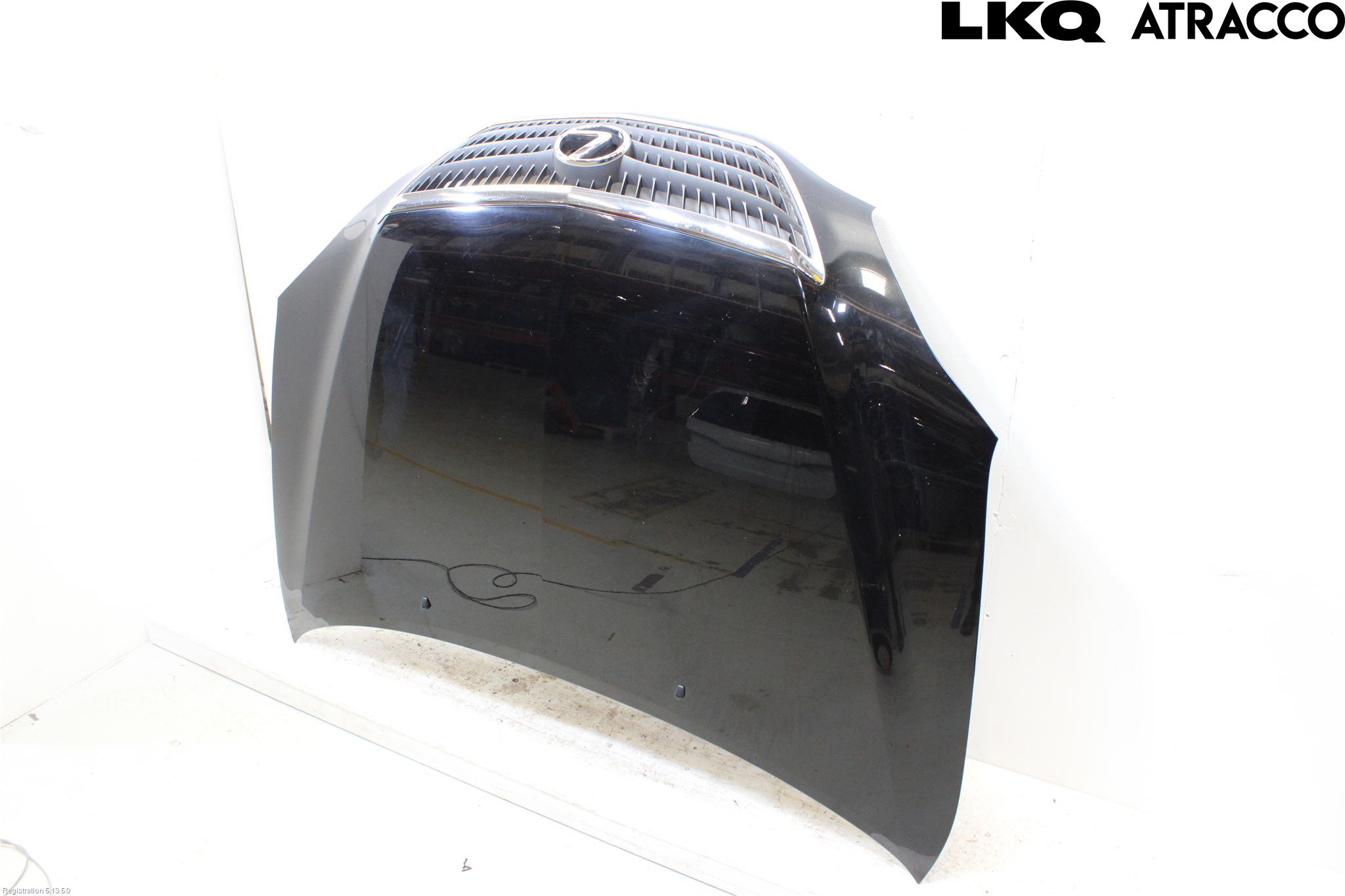 Lexus RX XU30 03-09 Panser