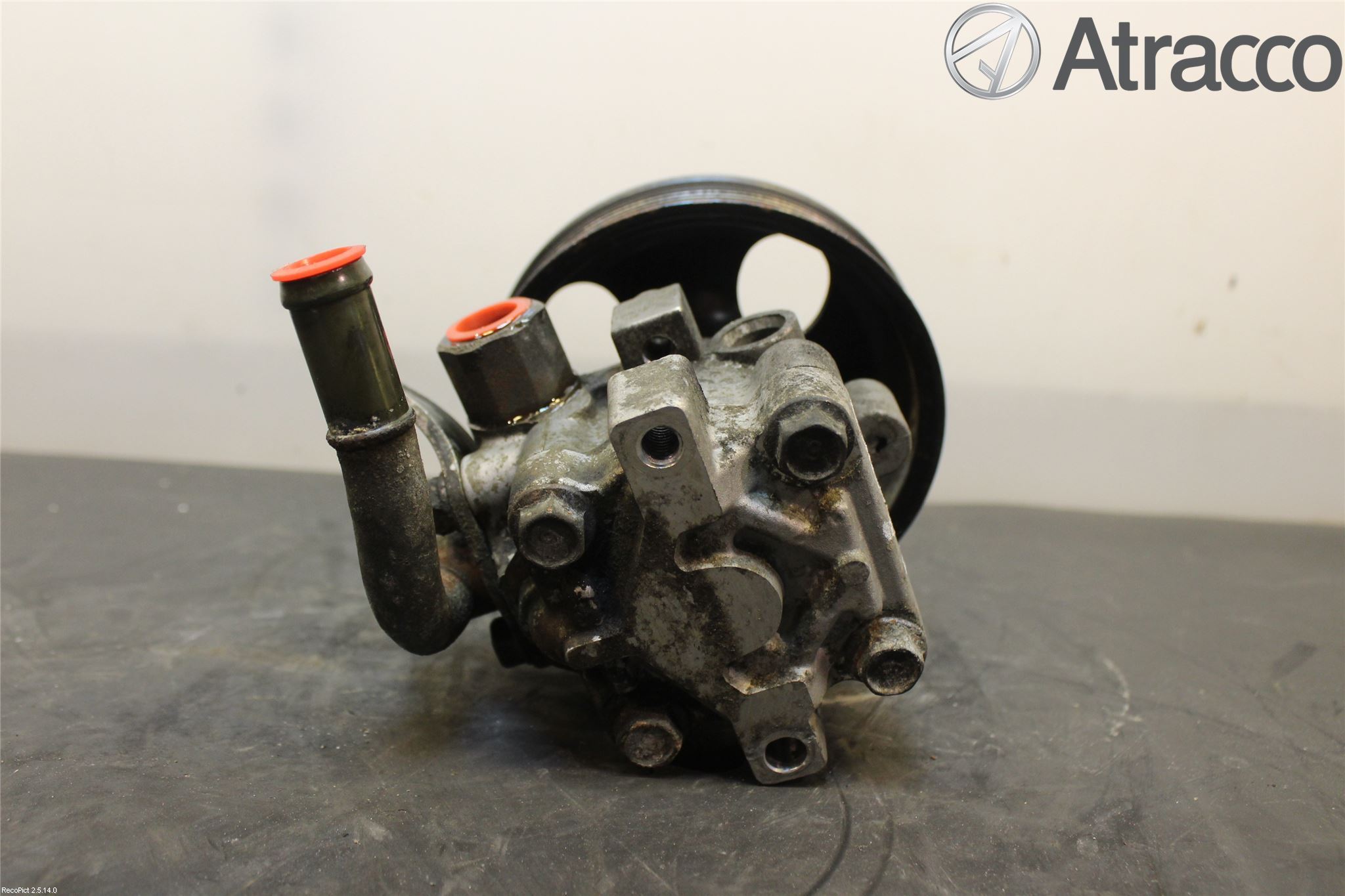 Hyundai SANTA FE  00-06 Servo Pumpe