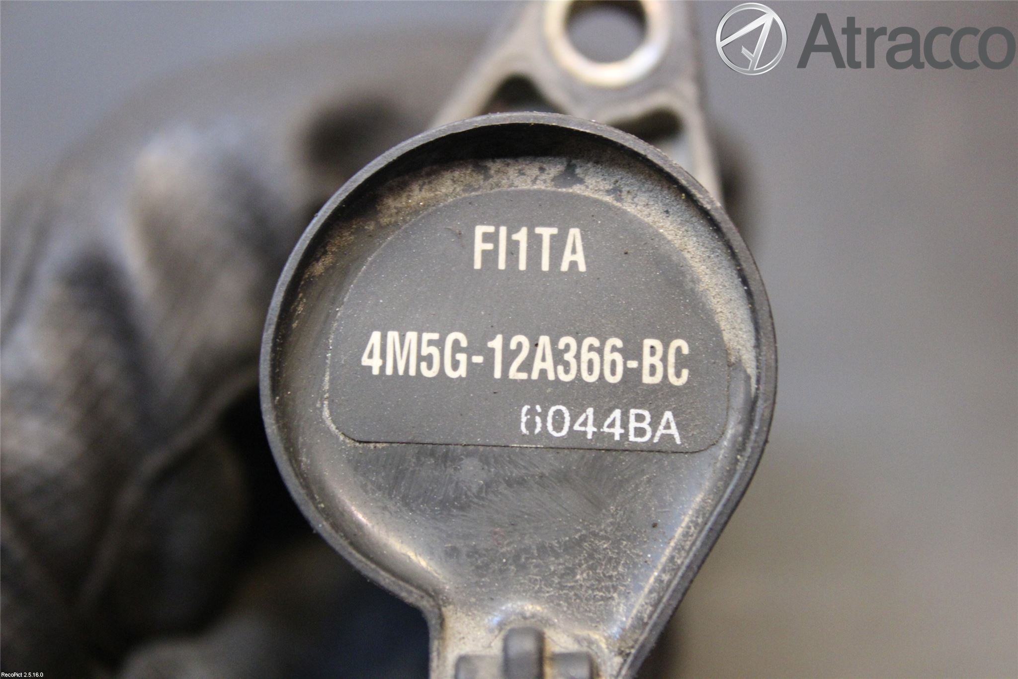 Ford FOCUS     04-07 Coil