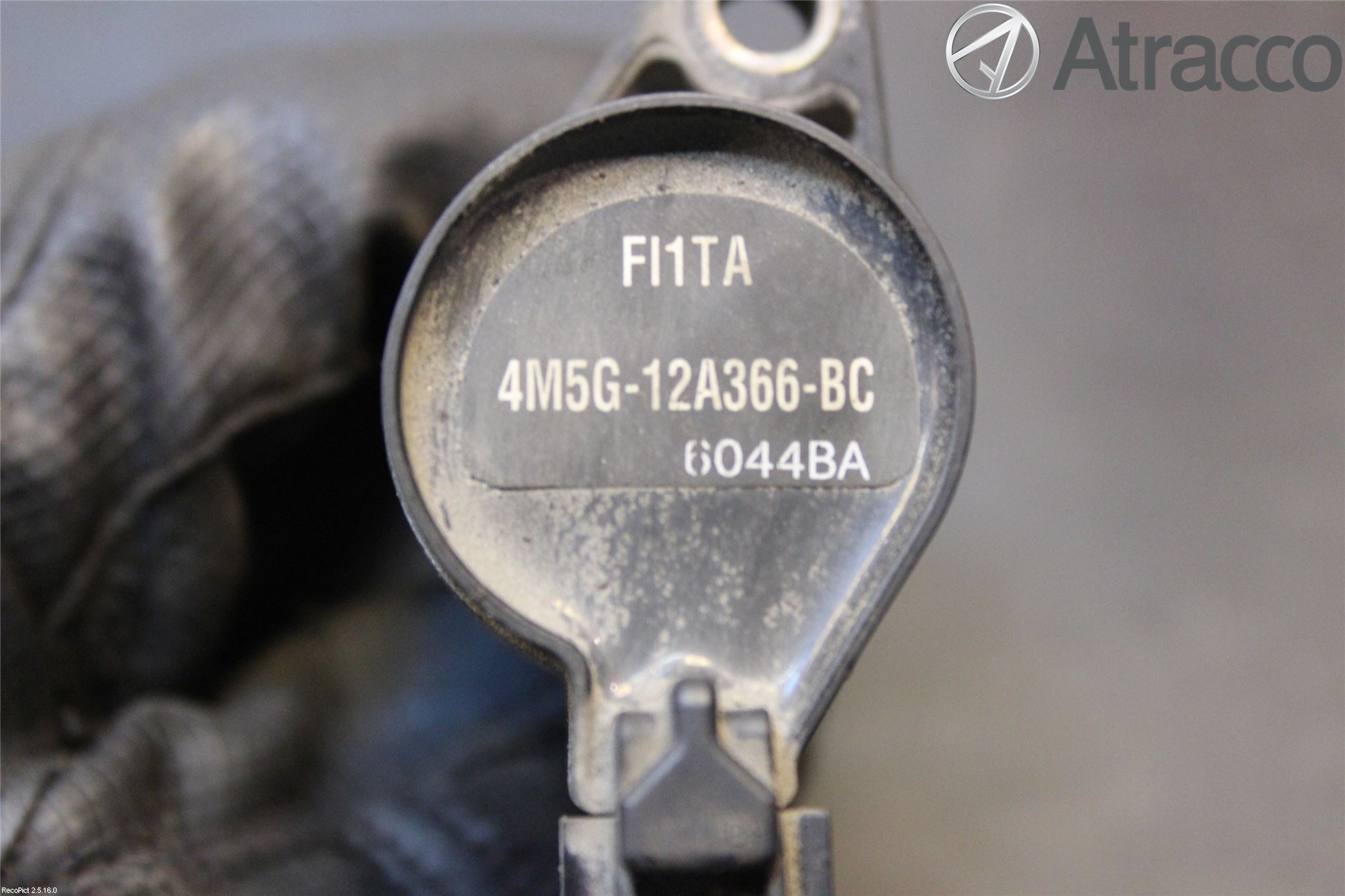Ford FOCUS     04-07 Coil