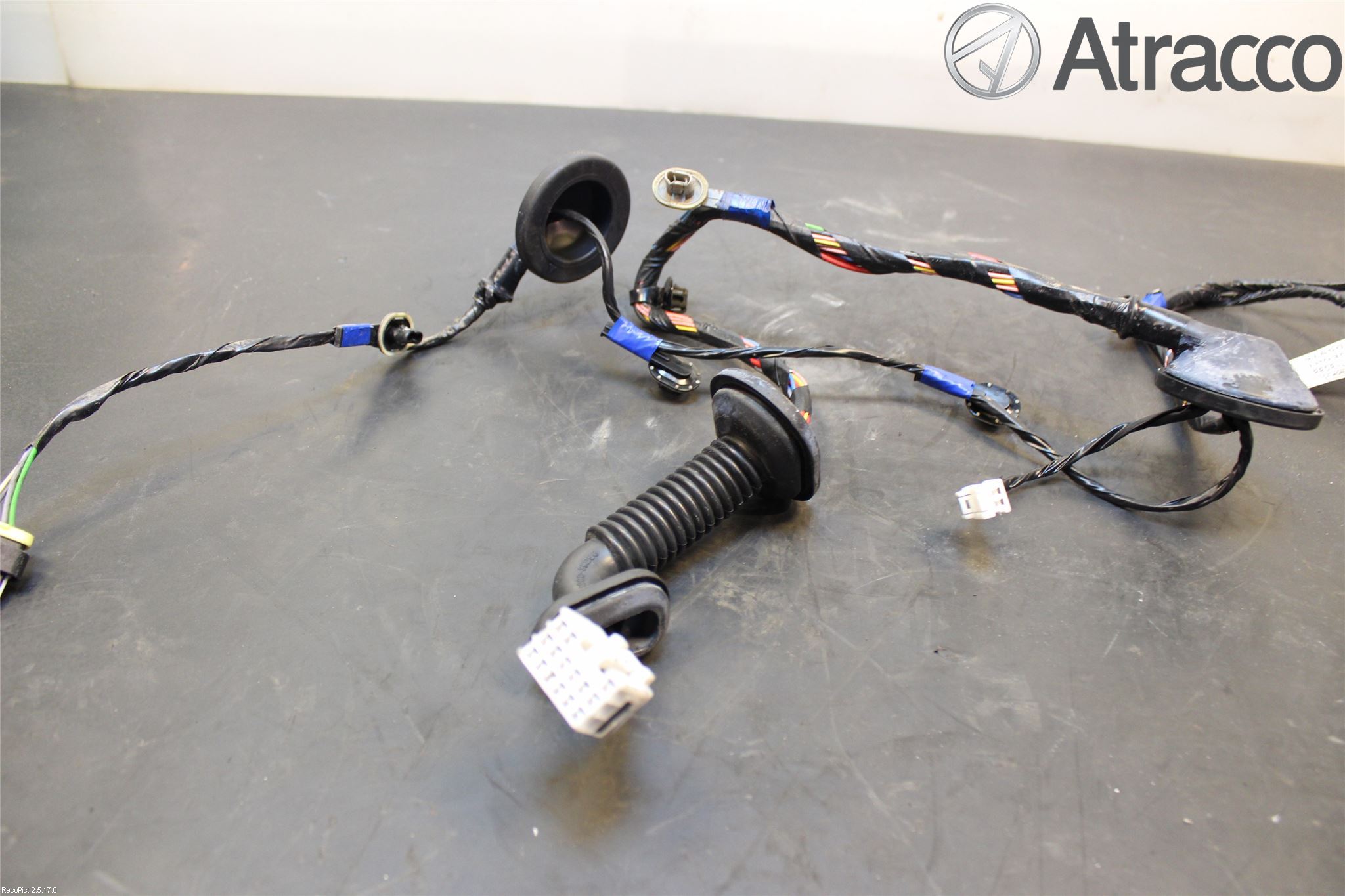 Kia CEED 06-12 Ledningsnett