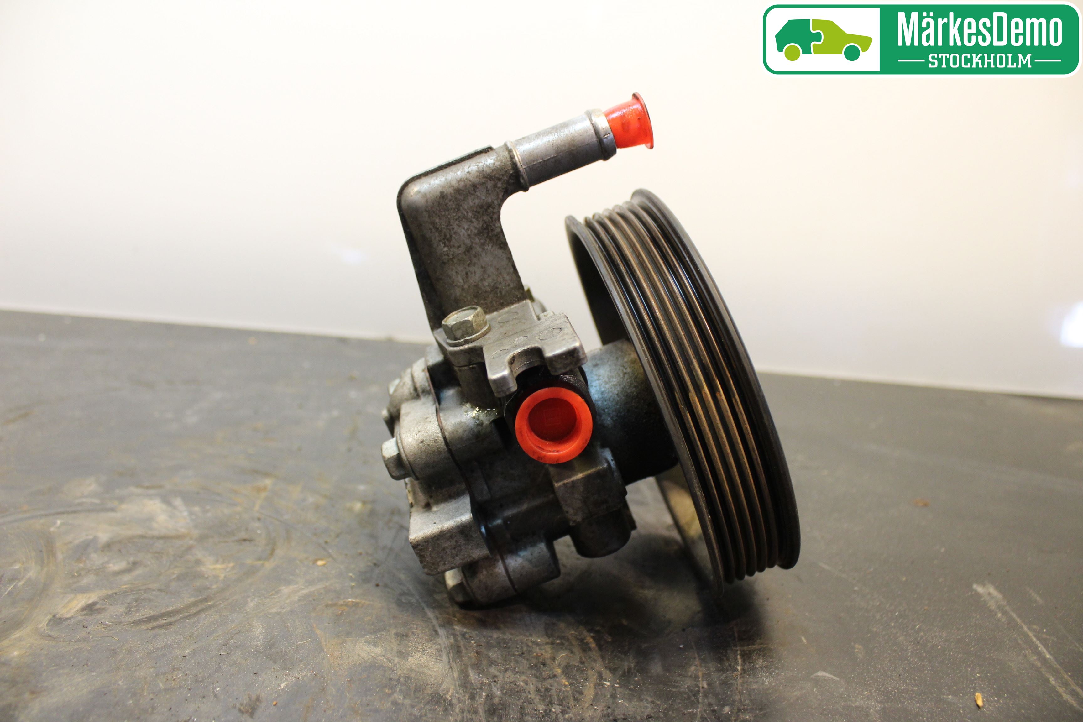 Hyundai SANTA FE  06-12 Servo Pumpe